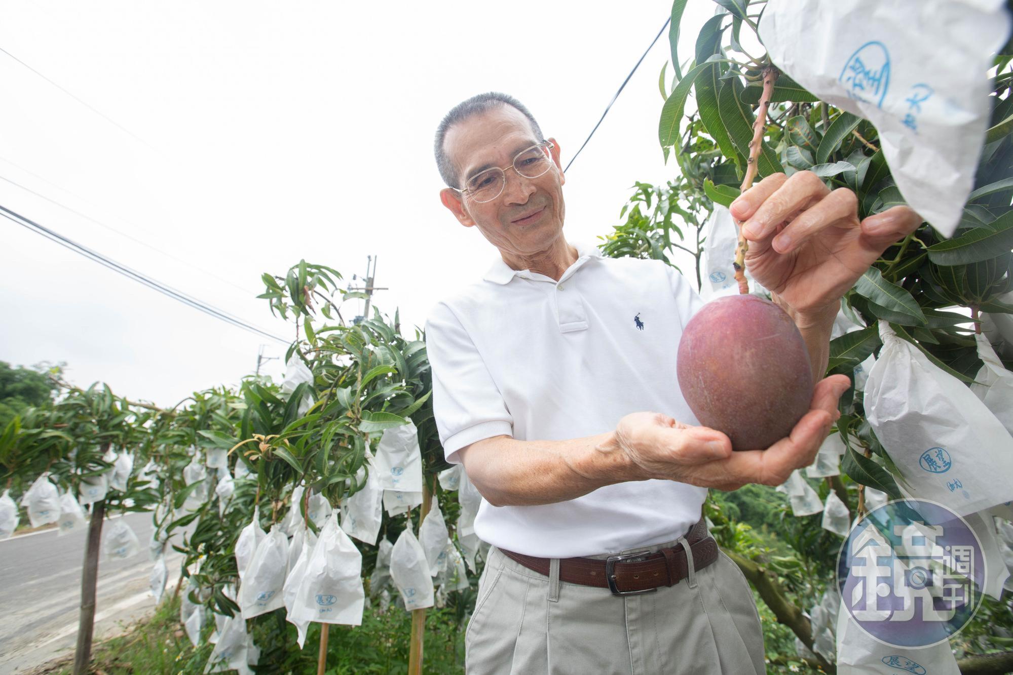 失子之痛，讓陳盈貴一度萎靡了半年多，幾個朋友硬拉他出門，他才重新振作。
