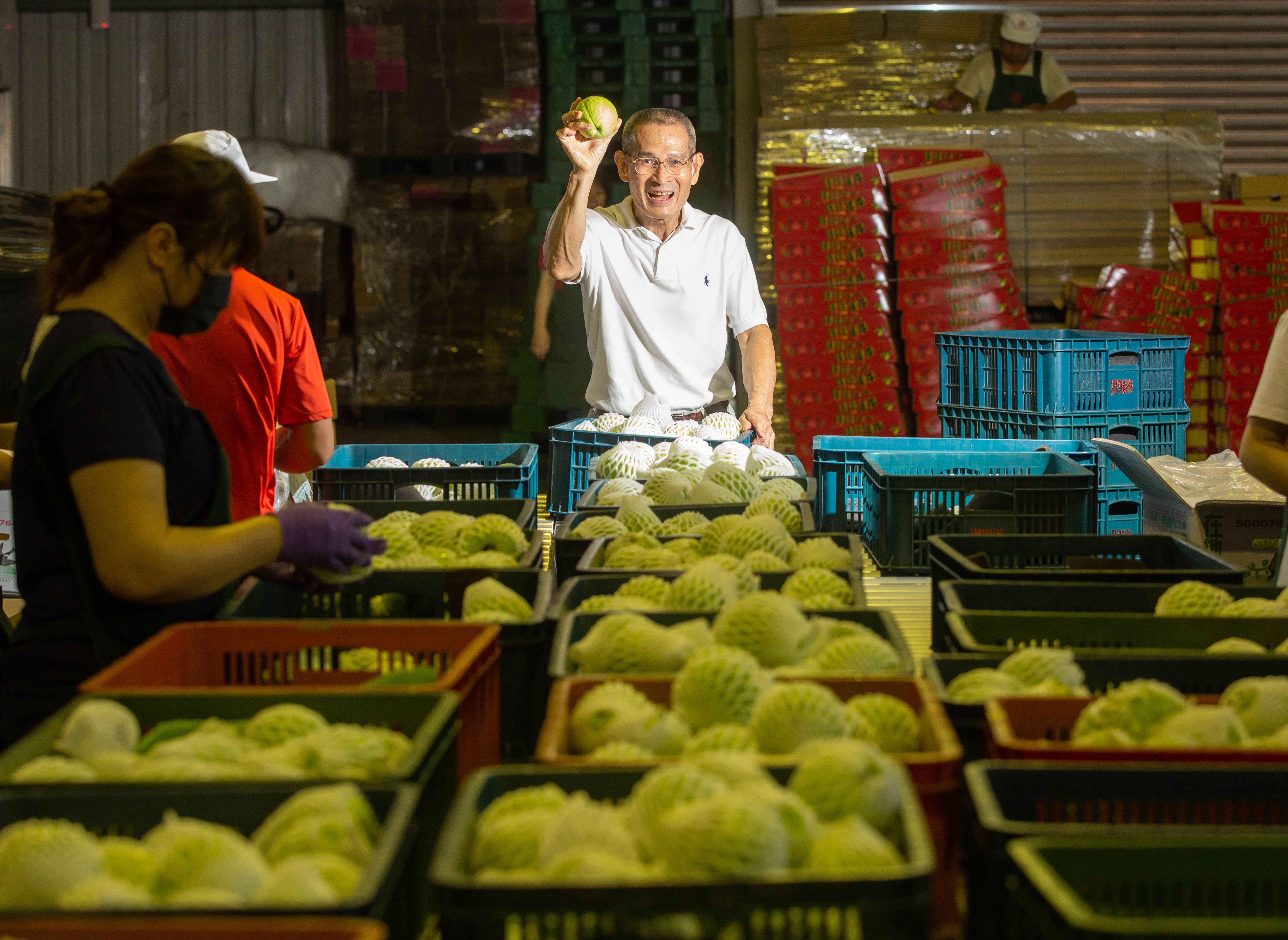 2007年，陳盈貴（中）出口台灣芭樂至加拿大，為避免船運時間長、水果損壞，從採收到包裝他都有講究。 