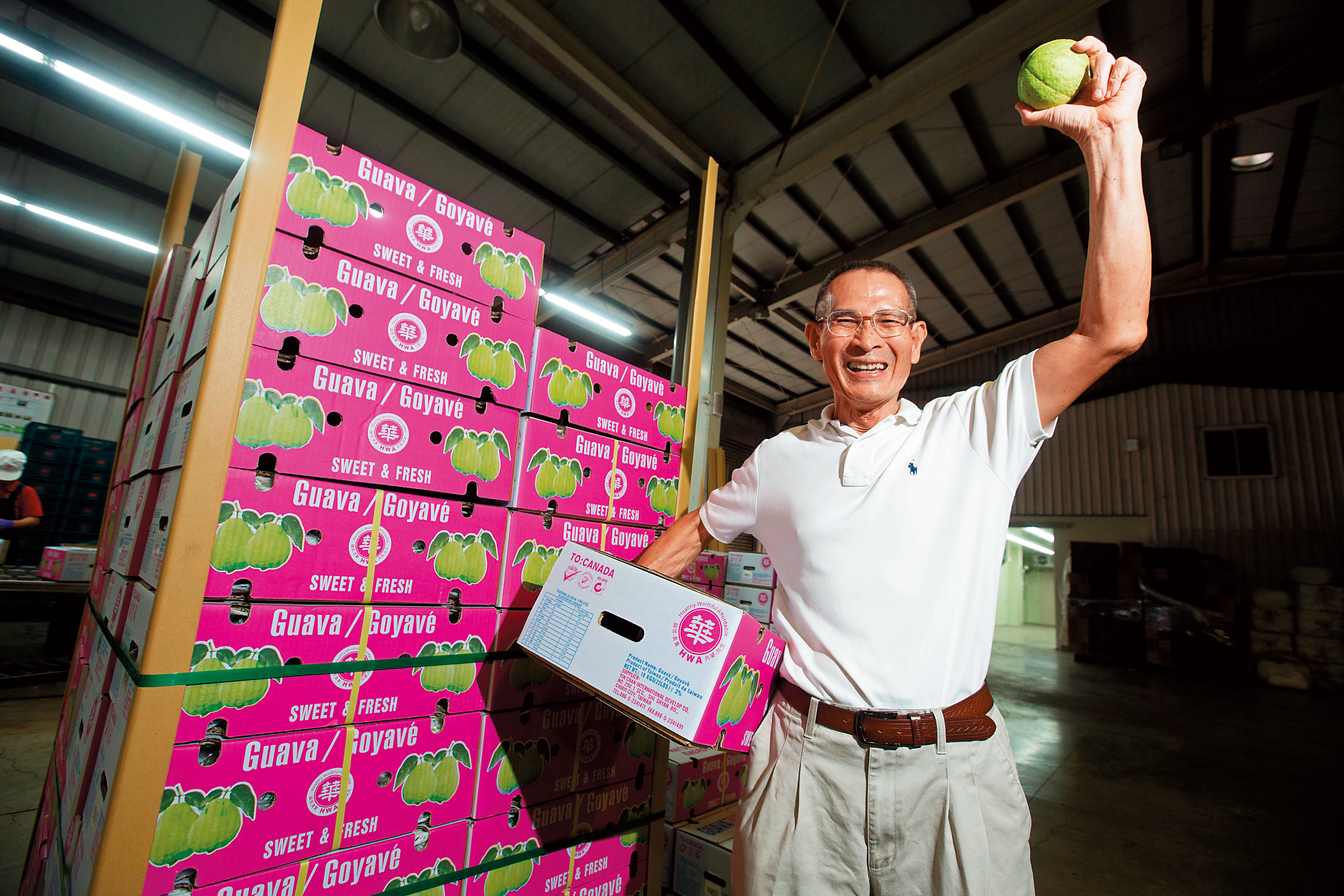 掌握台灣外銷水果市占超過3成，陳盈貴自比是24小時的戰鬥機。去年他把540噸的芭樂賣到加拿大，破了台灣紀錄。