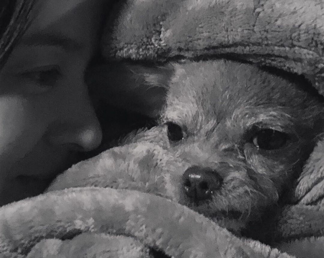 宋慧喬最新IG照片是與吉娃娃合拍的晚安照片，宋允兒也留言道晚安。（翻攝自宋慧喬IG）