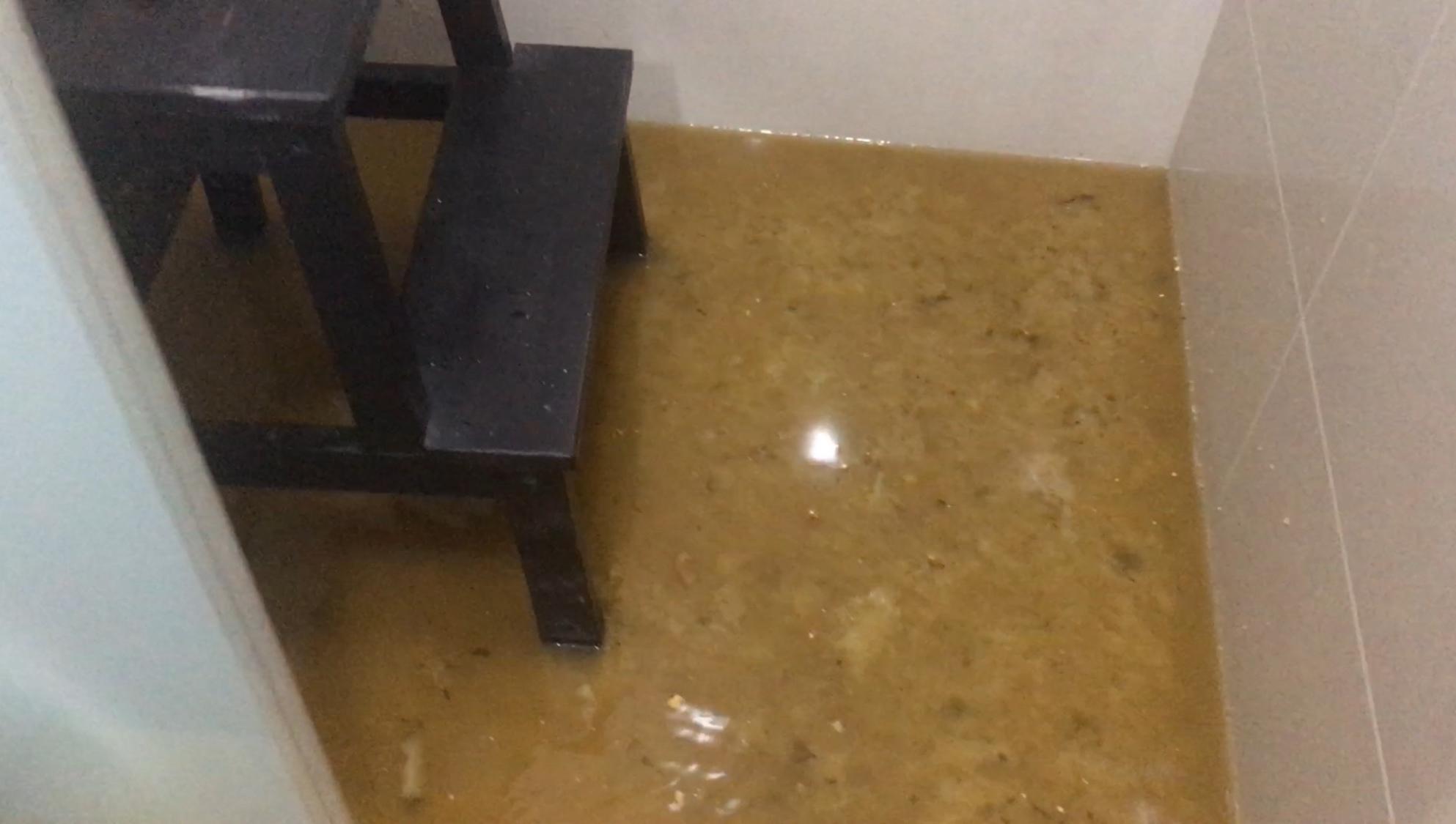 糞水溢流。(屋主提供)