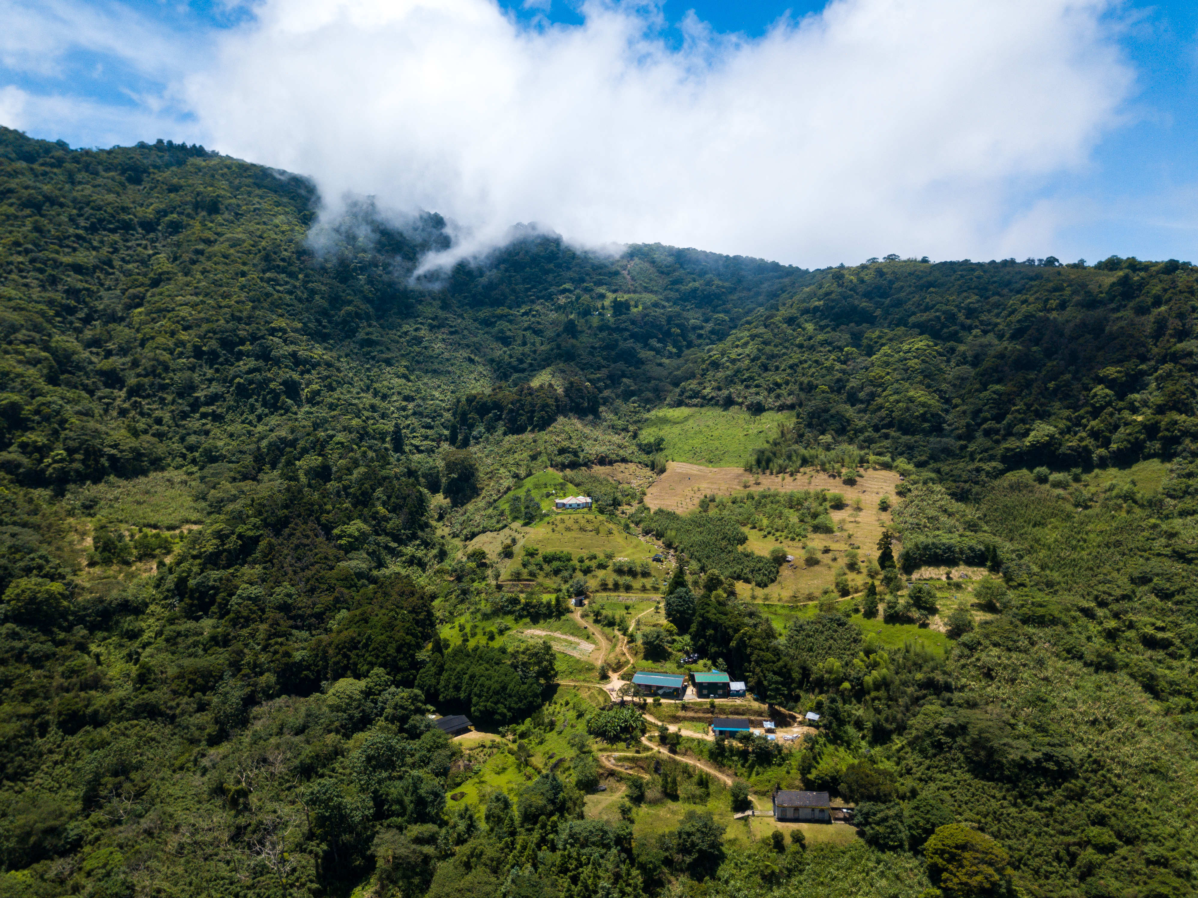 大禮部落的房舍與居民較少，山中的生活顯得寧靜。