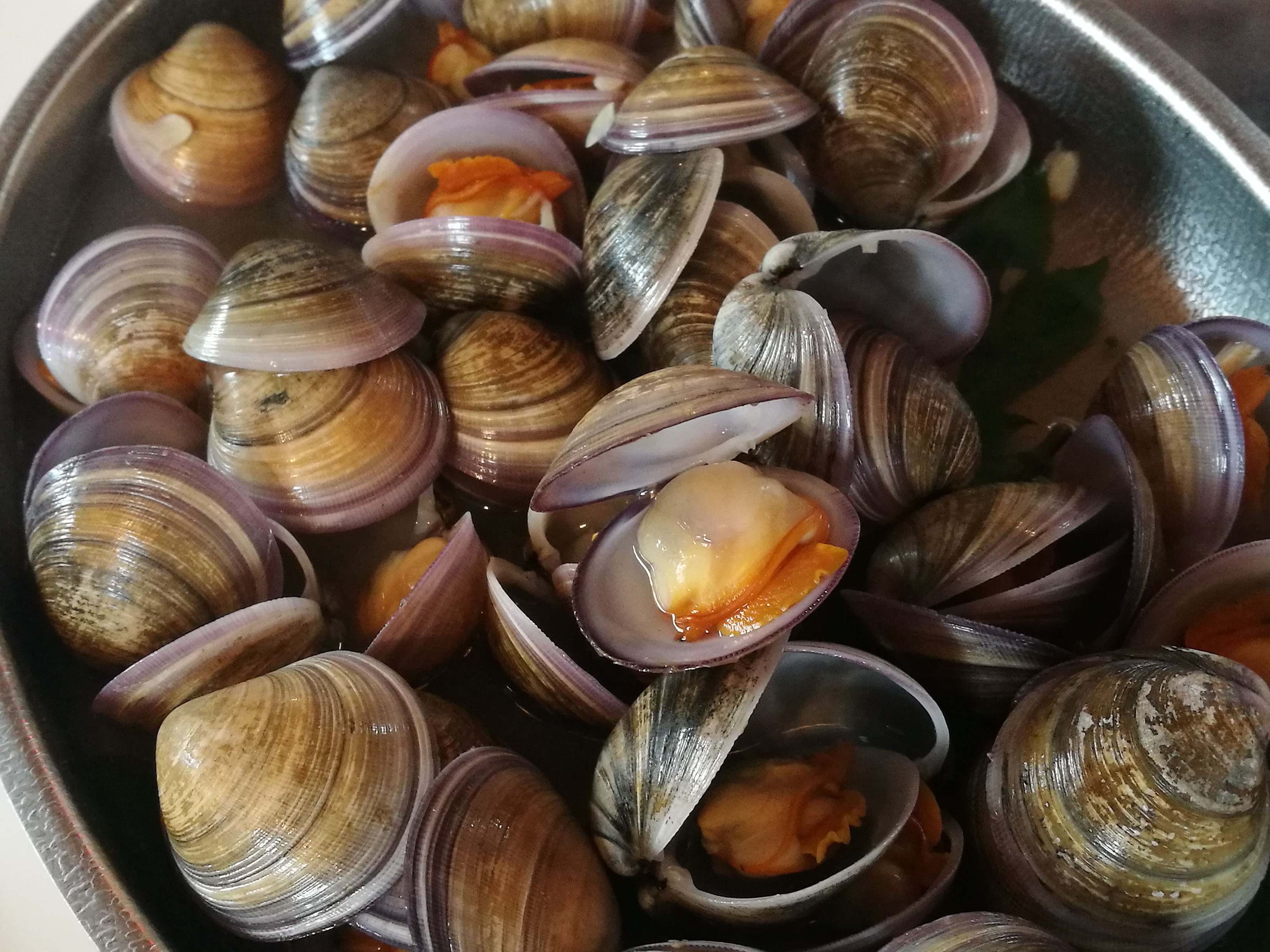 俗稱「赤嘴仔」的野生環文蛤，生長在無汙染環境中，常被視為環境指標之一。