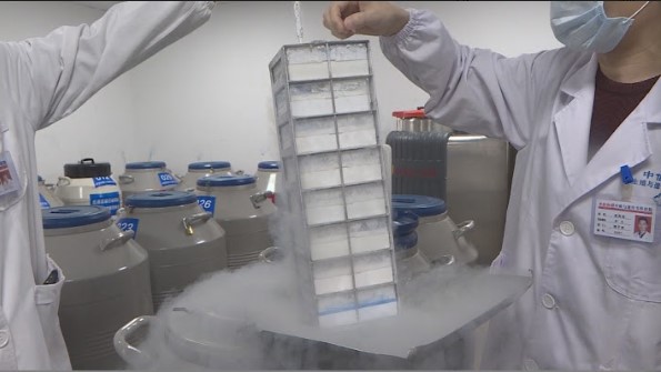 精子銀行保存精子的冷凍裝置。(公視提供)
