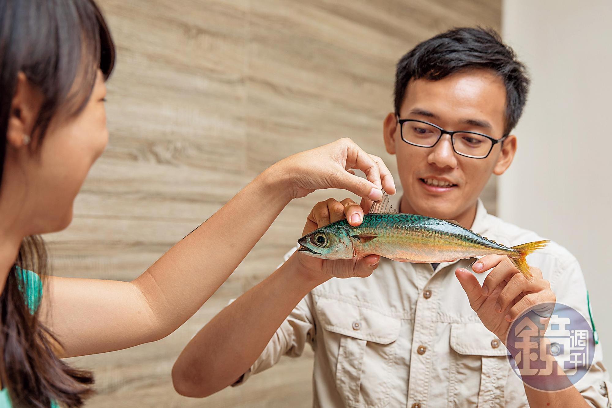 導覽員教大家如何挑魚。
