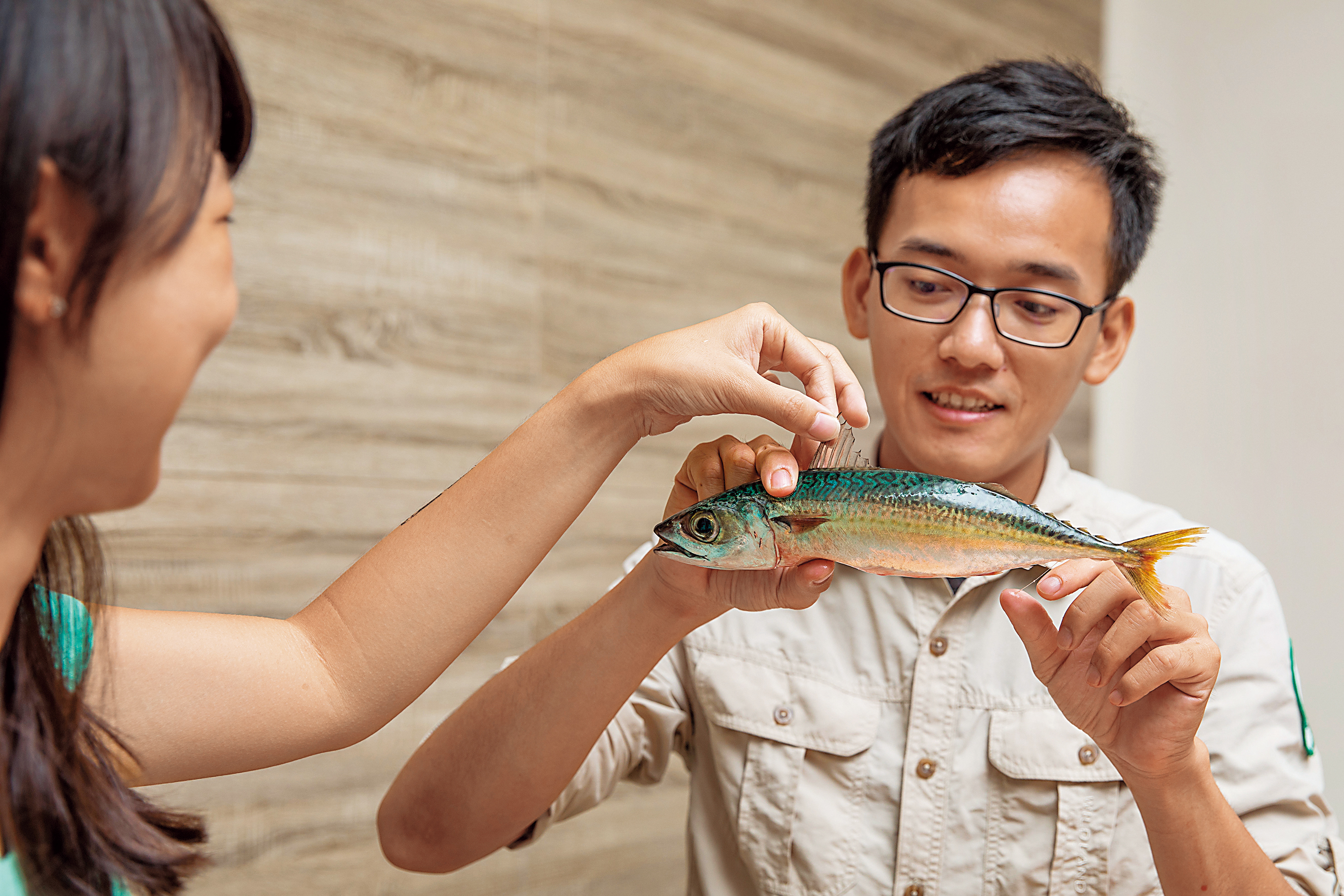 導覽員教大家如何挑魚。