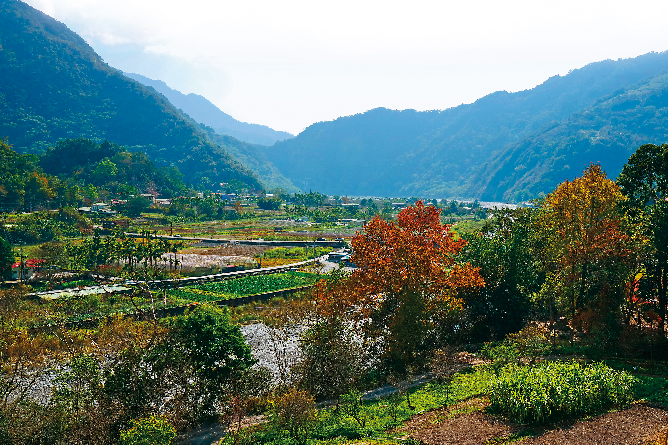 「青天山房」的位置絕佳，可看盡武界部落的美麗景觀。