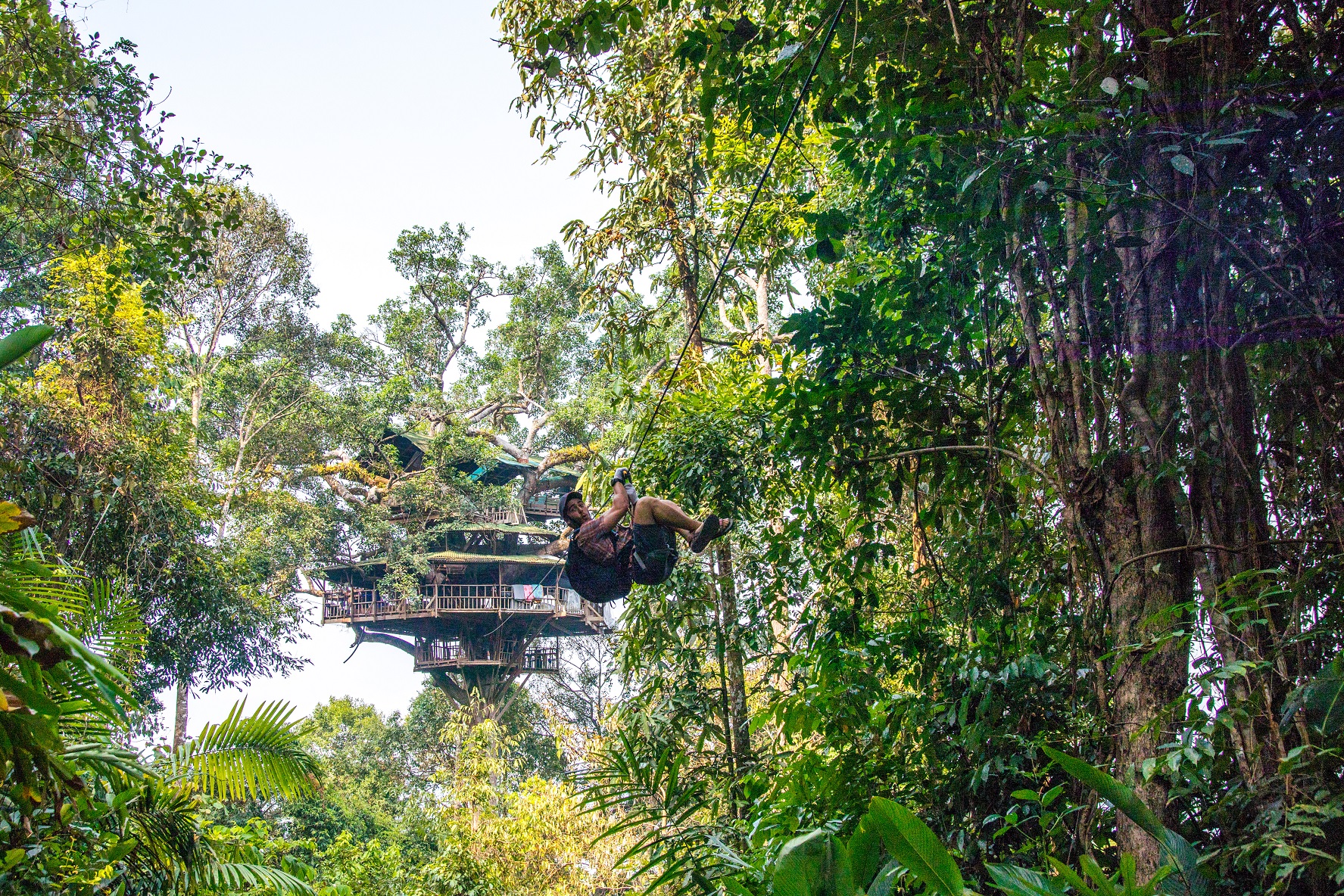我們的目的是前往這座全世界最大的樹屋。樹屋高35米,有4至5層樓高,倚靠樹幹而建。在樹上建屋並不會讓樹死亡,卻會使樹的生命因為人類而喧囂,這是比較遺憾的事。