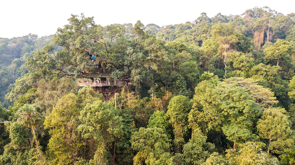  Mike告訴我，最早入雨林時，需徒步70小時才能抵達樹屋。經過多年探索，平均一星期建設出一條索道，如今我們才能在5至7小時內抵達樹屋。