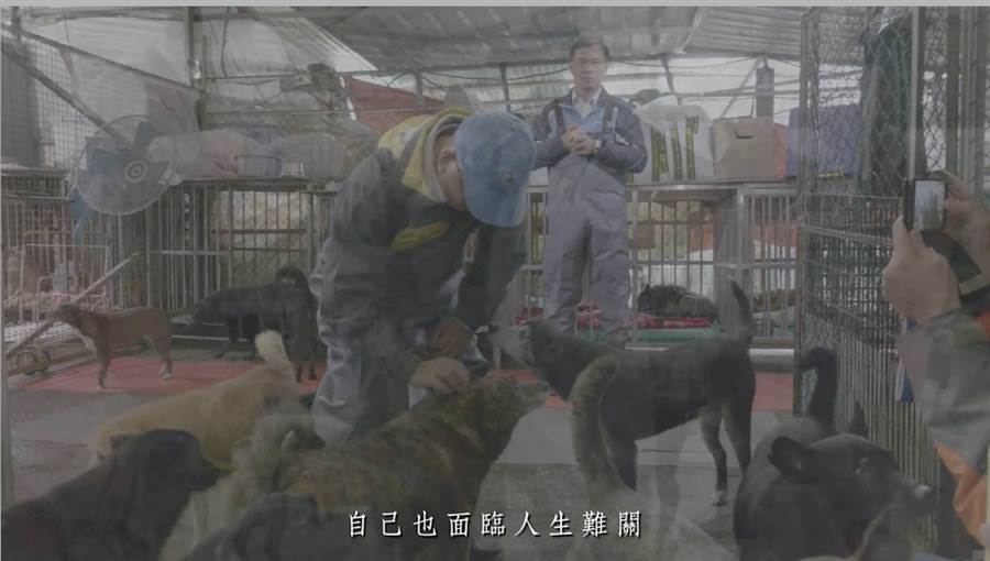 (翻攝自張媽媽流浪動物之家粉絲團)