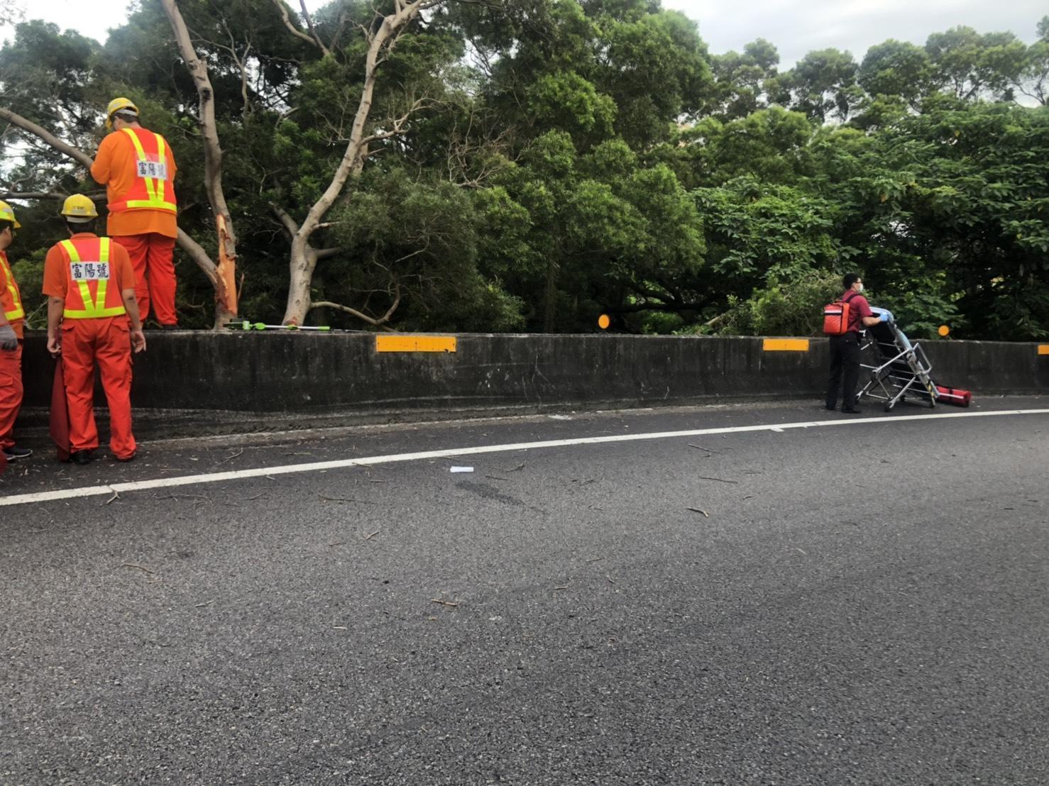 國道警消趕往現場，發現駕駛張男已明顯死亡。（翻攝畫面）