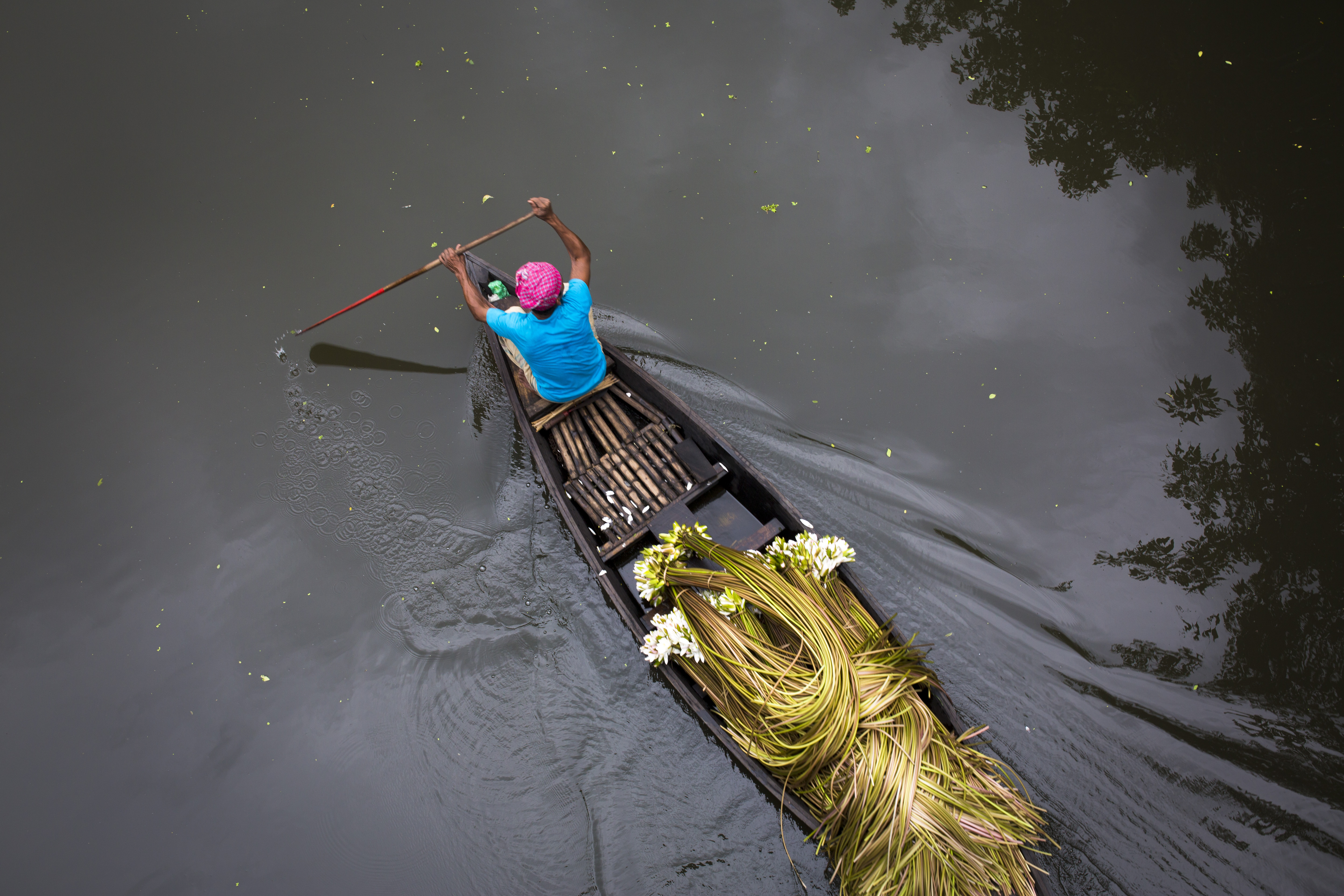 孟加拉農民駕船運送蓮花到達卡的市集。孟加拉全國鄉村地區超過半數，是面臨全球氣候變遷威脅最大的國家之一。（東方IC）