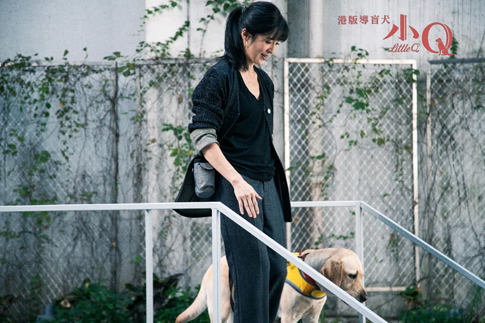 在電影裡作為小Q「養母」的她，她希望著由電影讓大家知道導盲犬的重要性。（翻攝楊采妮臉書）