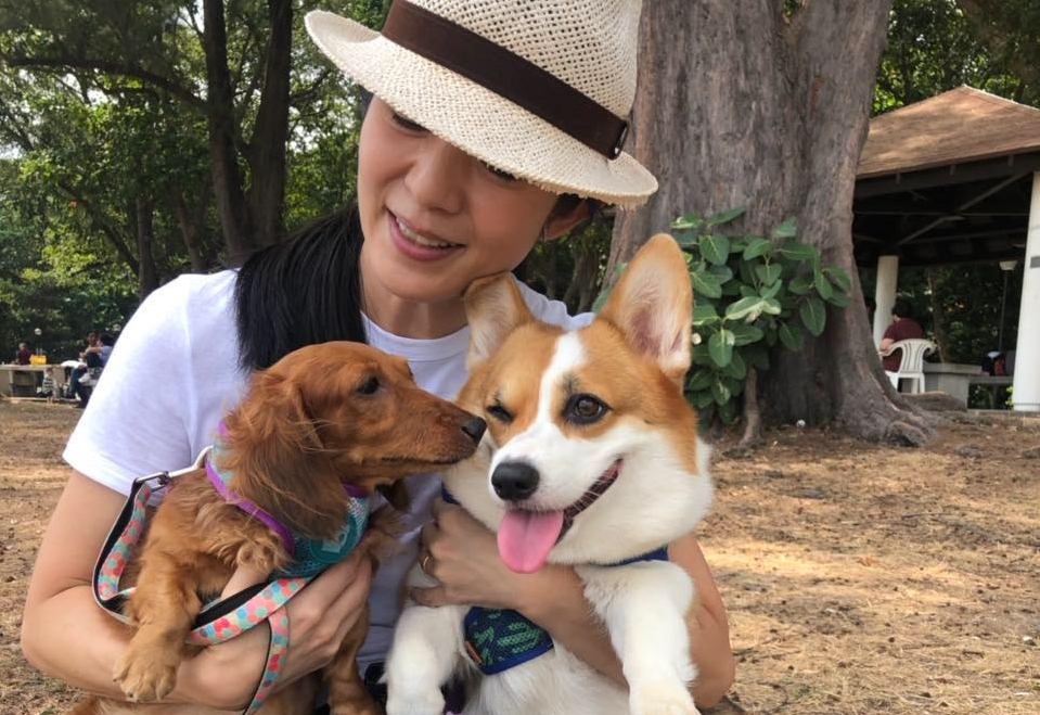 楊采妮懷孕愛犬險被送走　如今成兒最佳玩伴