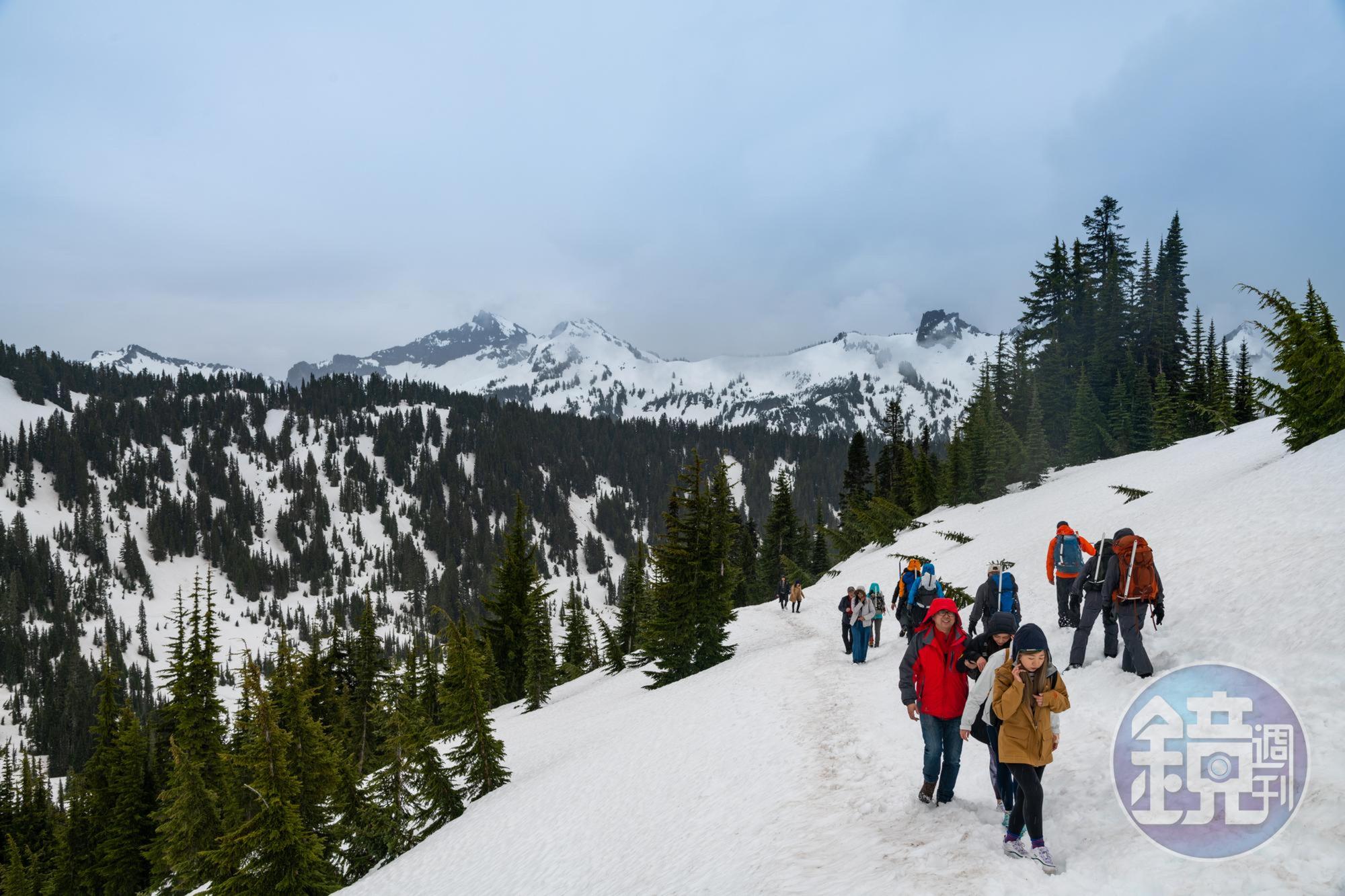 5月中旬的雷尼爾山，仍有厚厚積雪，在雪地裡健行，很考驗體力。
