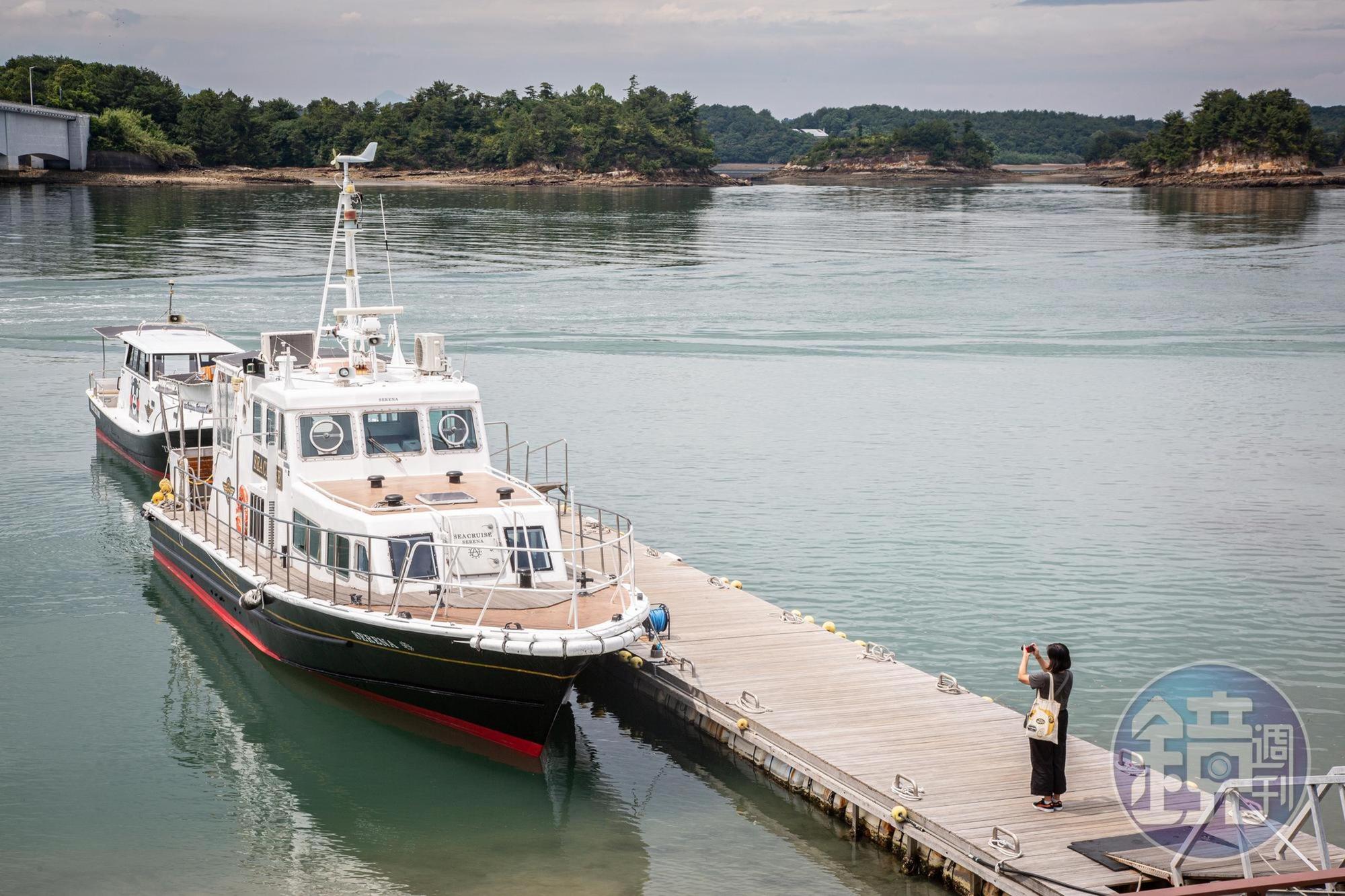 Sea Cruise一天有3航次出海賞豚。