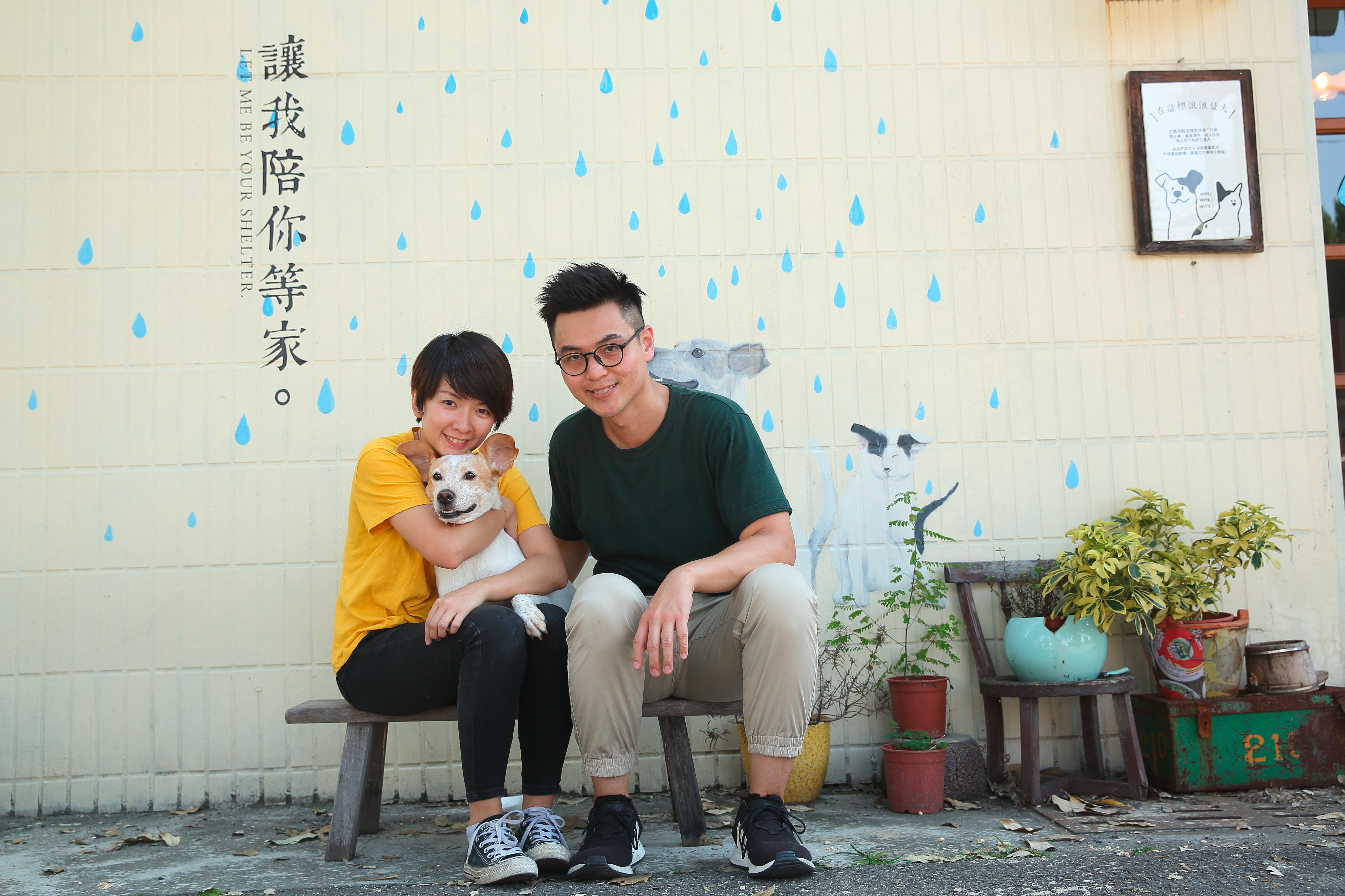 4年前，在廣告業工作超過10年的譚柔（左）和先生劉憲宗（右）創立浪浪別哭，迄今送養超過4百隻流浪動物。