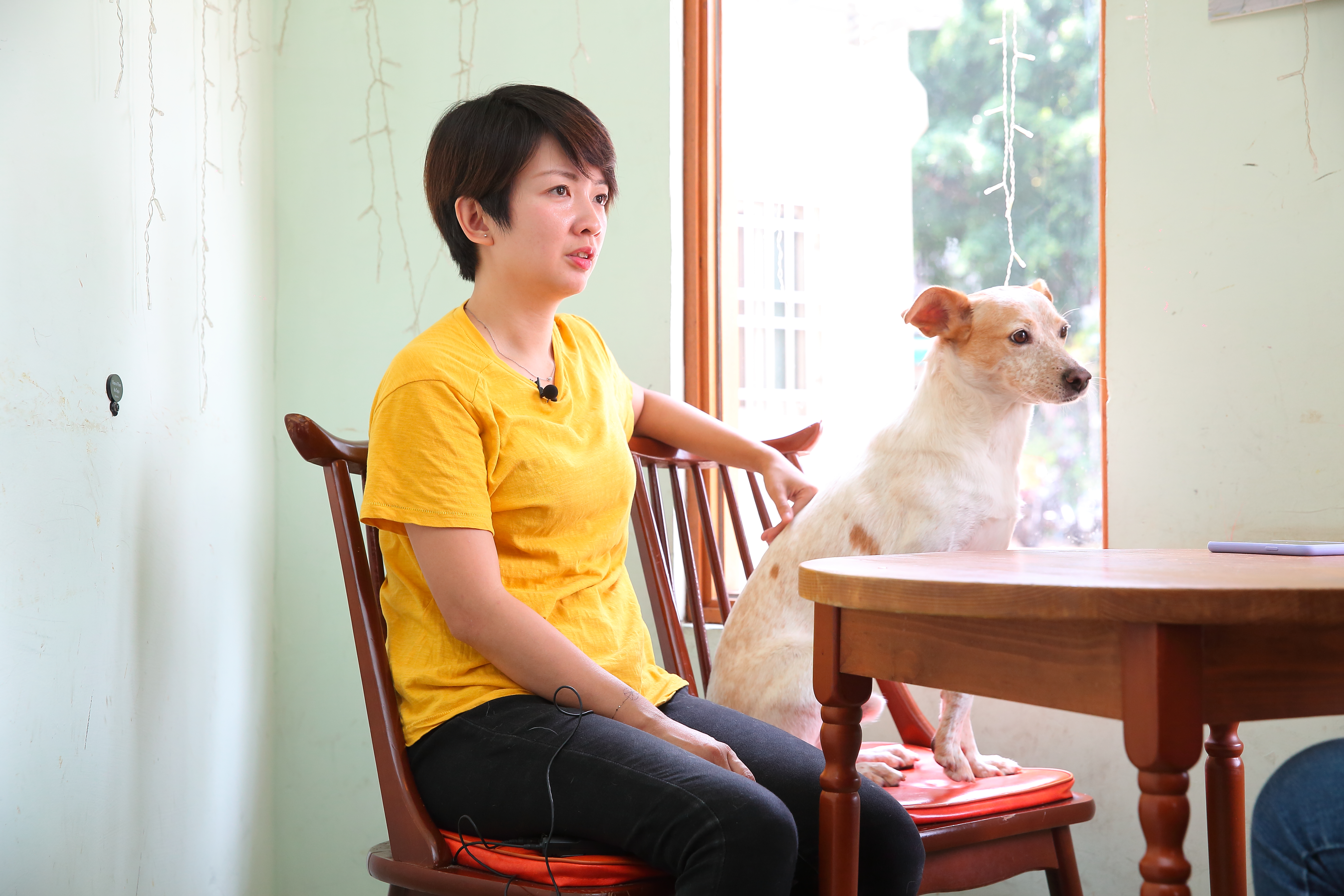 譚柔與浪浪別哭的狗班長「班班」一起受訪。班班是創業時愛心媽媽（流浪動物救援者）送來店裡的第一隻狗，因個性親人被她收編。