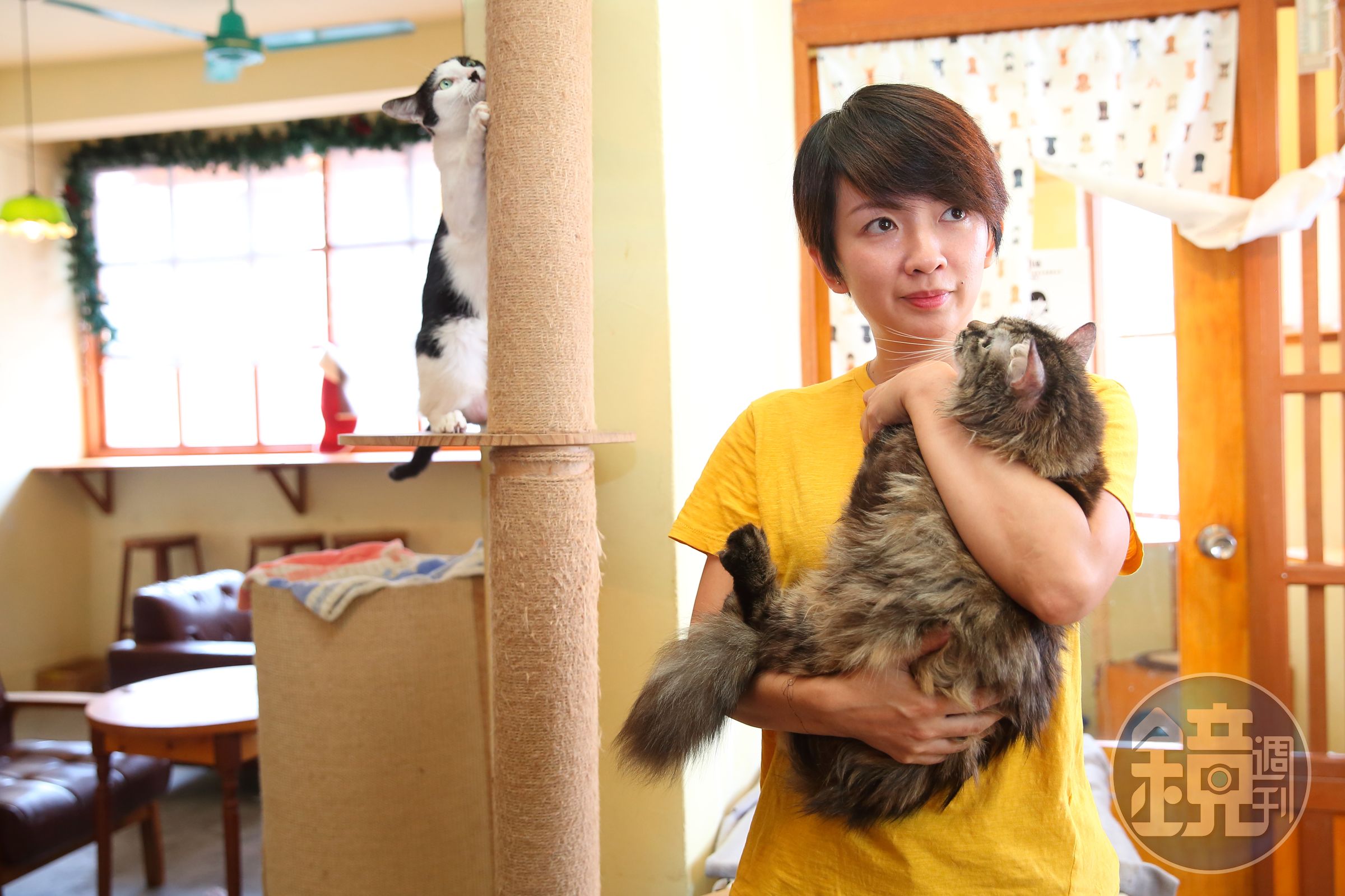 浪浪別哭採取動物自由活動的模式經營，以柵欄或樓層區分貓狗。原本是「狗派」的譚柔，為了幫助流浪貓，也開始學習養貓。