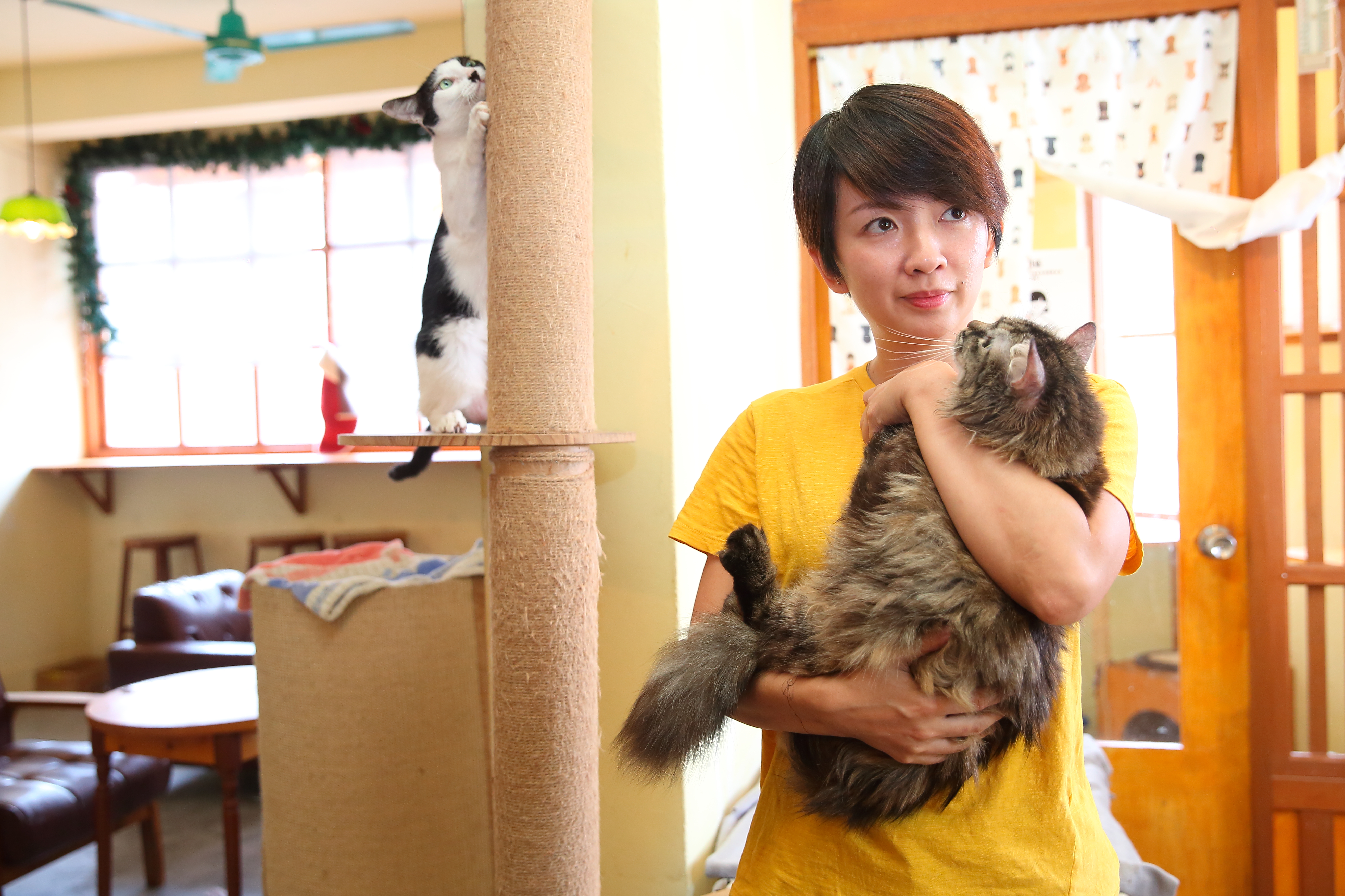 浪浪別哭採取動物自由活動的模式經營，以柵欄或樓層區分貓狗。原本是「狗派」的譚柔，為了幫助流浪貓，也開始學習養貓。