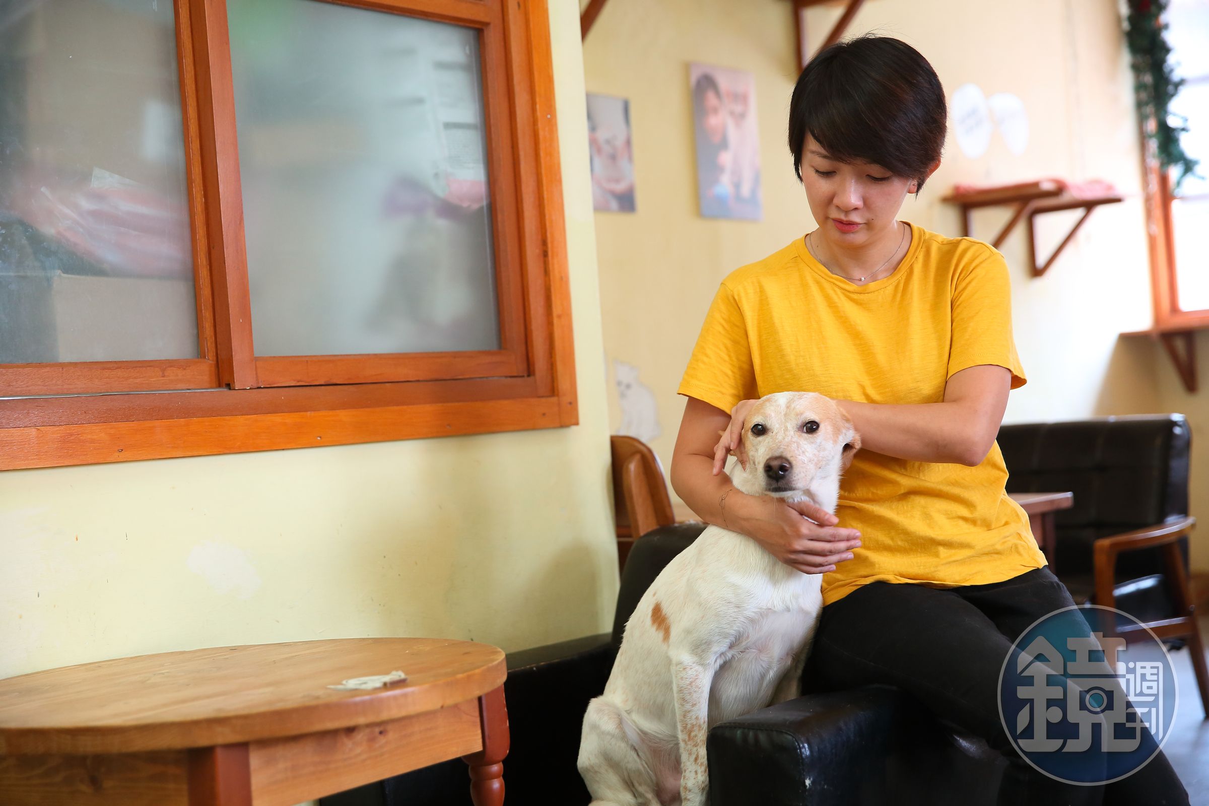譚柔認為，領養動物前一定要先做好自身評估，才不會因輕易退養，傷了毛小孩的心。