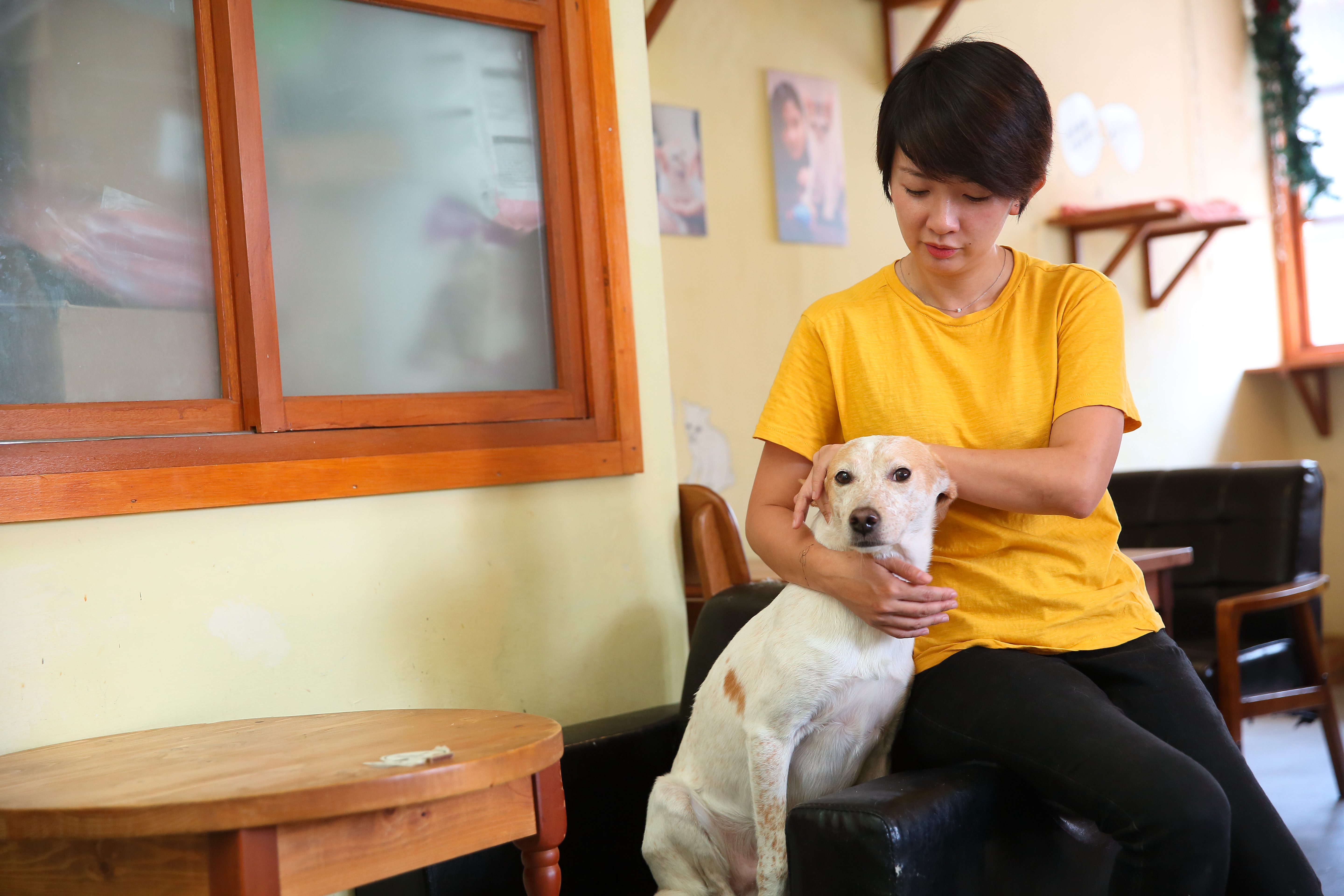 譚柔認為，領養動物前一定要先做好自身評估，才不會因輕易退養，傷了毛小孩的心。