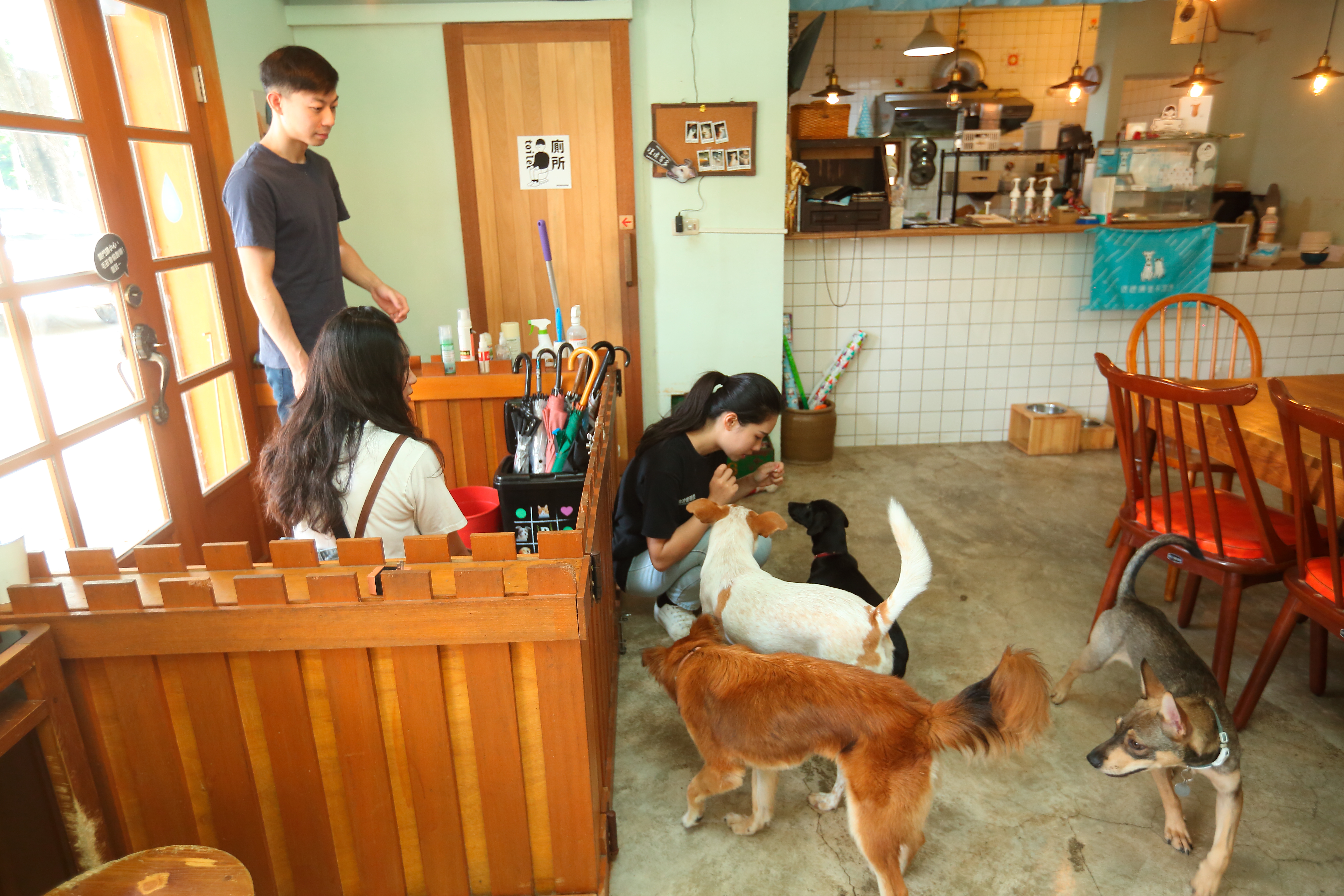 台灣人普遍愛養幼貓、幼犬，但譚柔指出，成犬或成貓因個性穩定，教導的難度相對低。