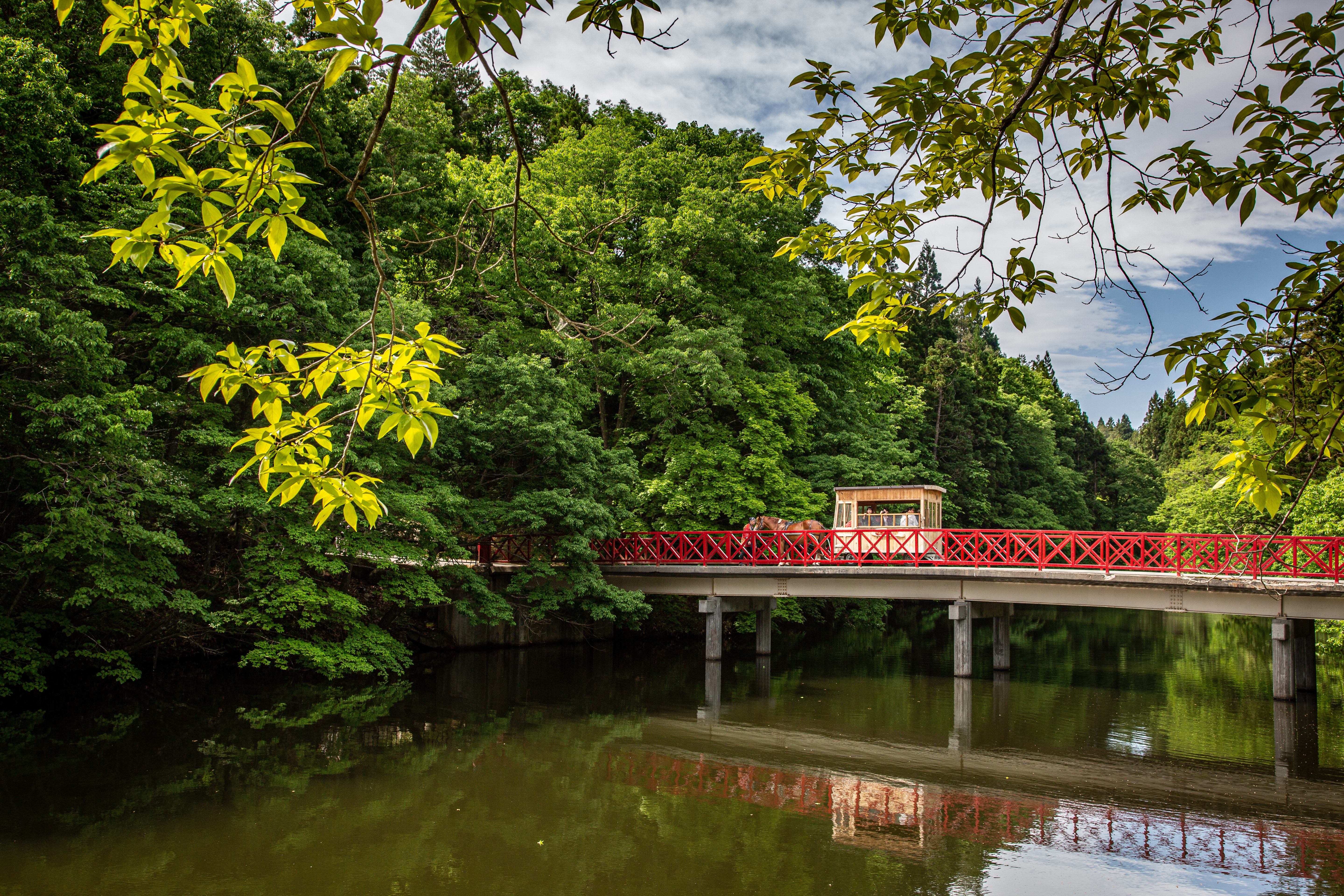 「青森屋公園」裡，紅橋、綠樹、湖水，交織成絕美景致。