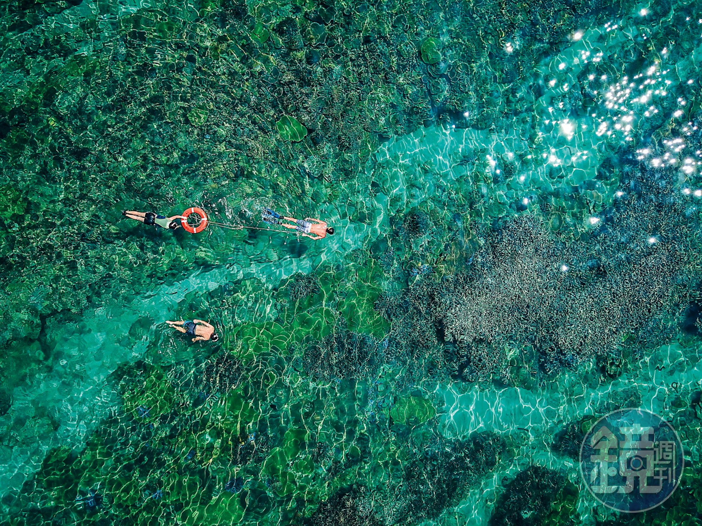 當水質清澈、光線充足時，從澎湖南方四島的海面上就能看見紫色的「鹿角珊瑚」，有如一片海底的薰衣草森林。