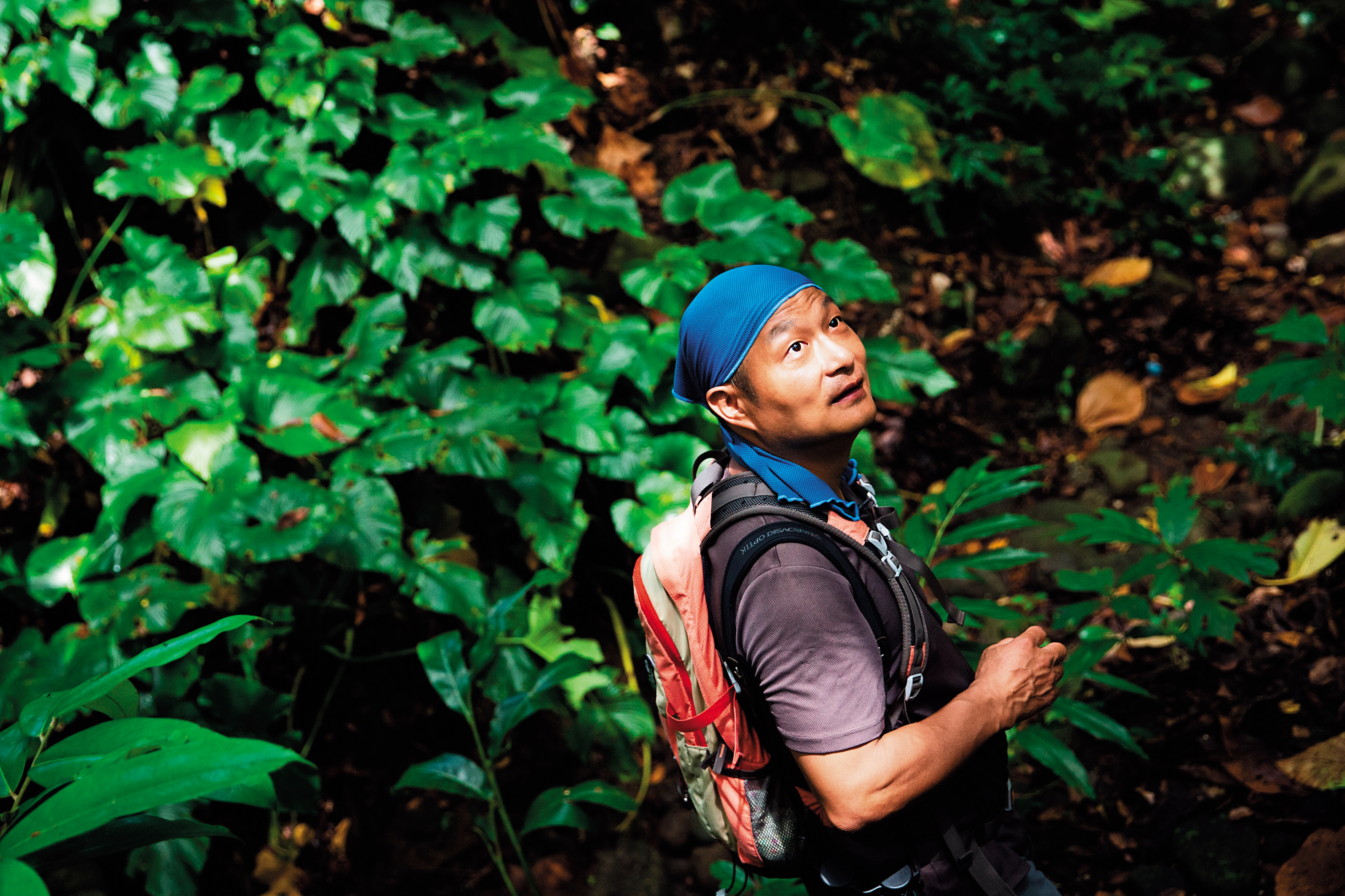 林青峰憑著自學，以及直接入山尋找動物、和動物實際交手的經驗，成為生態導覽員。