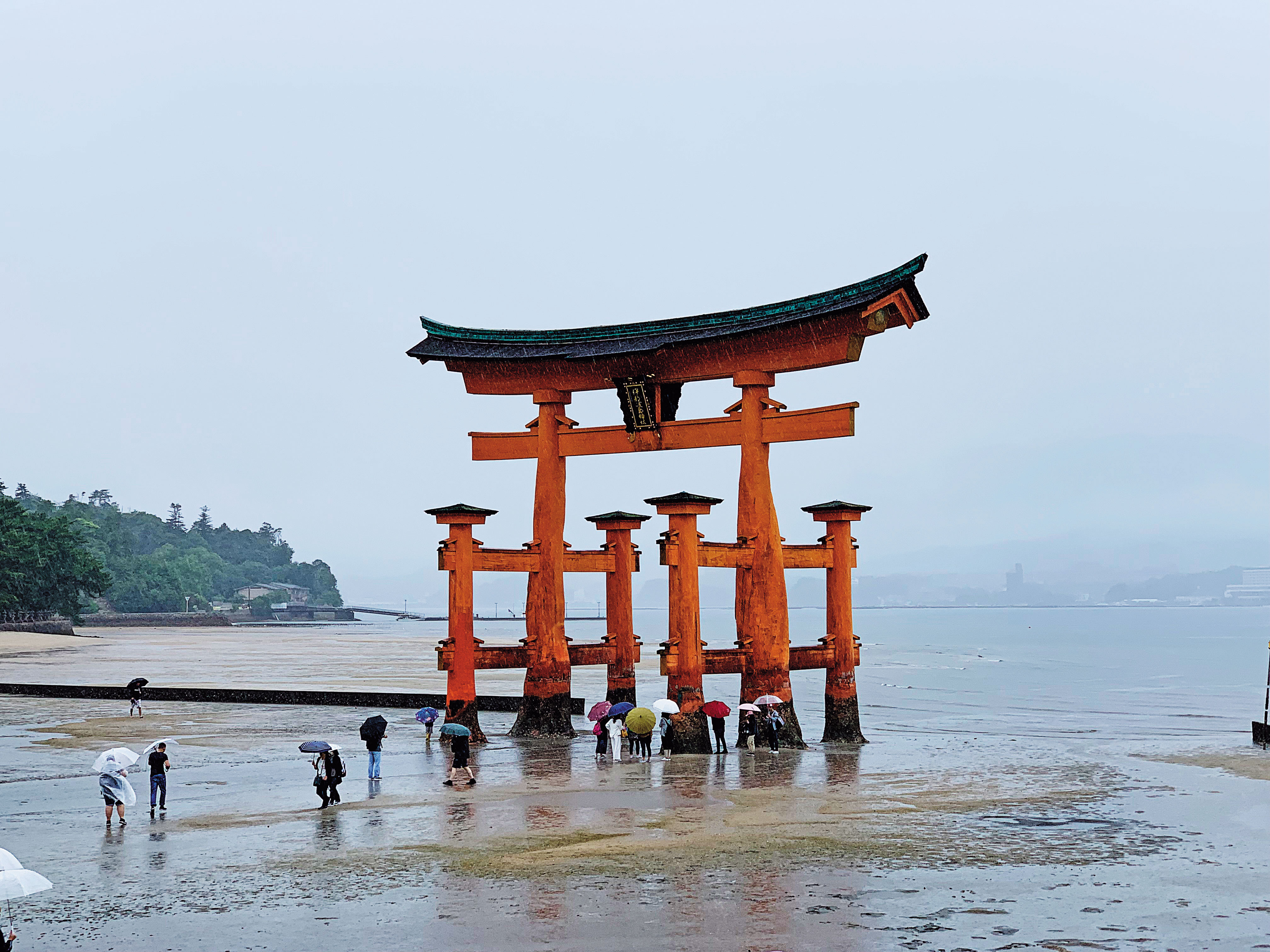 到了廣島一定要造訪幾站之遠「日本三大名景」的嚴島神社,橘紅色的鳥居退潮時還可以步行靠近。
