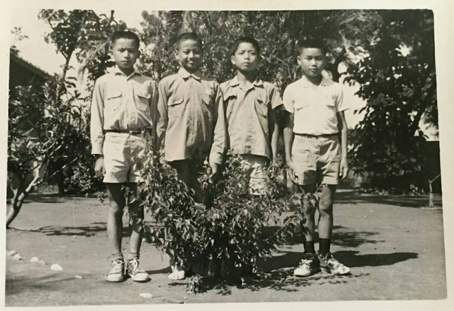 許倉賓（左二）自幼家貧，小時候沒錢買鞋，拍照時還把腳藏在樹叢後方。（許倉賓提供）