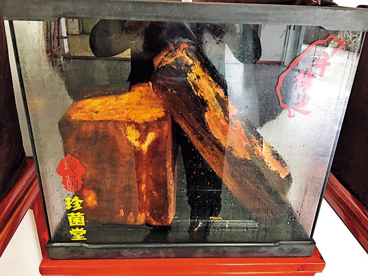 珍菌堂提供圖中的椴木培植箱給會員培養牛樟芝,聲稱每週會支付700元契作培植費。(翻攝網路)