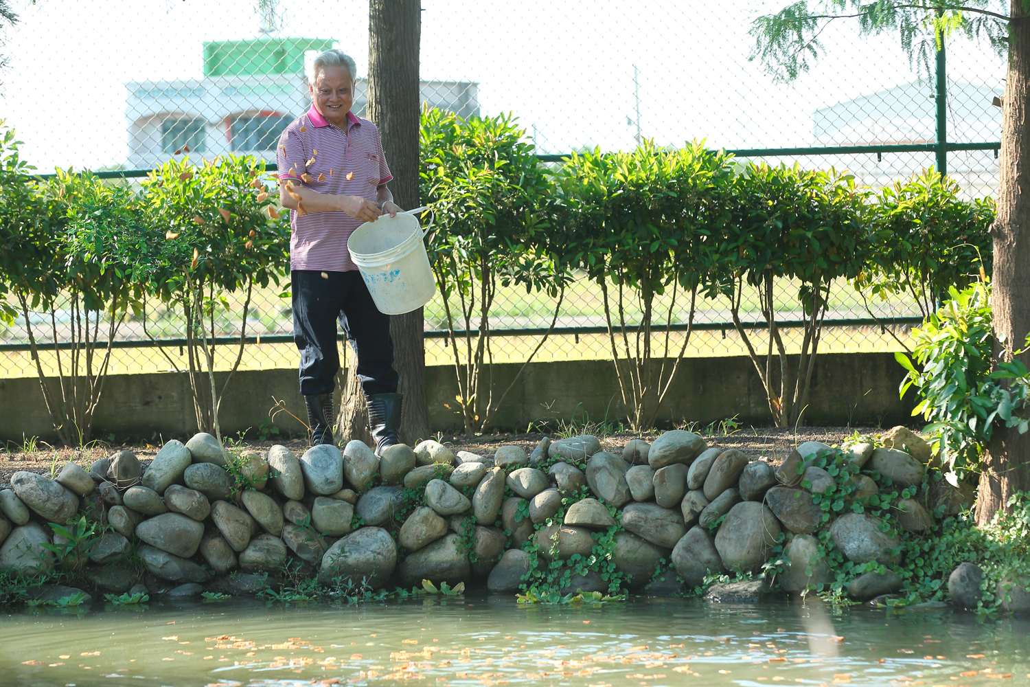 農場的魚池裡有上百隻魚，許倉賓都拿自家工廠的土司邊烘乾餵食，有時朋友、員工還會來釣魚、抓魚。