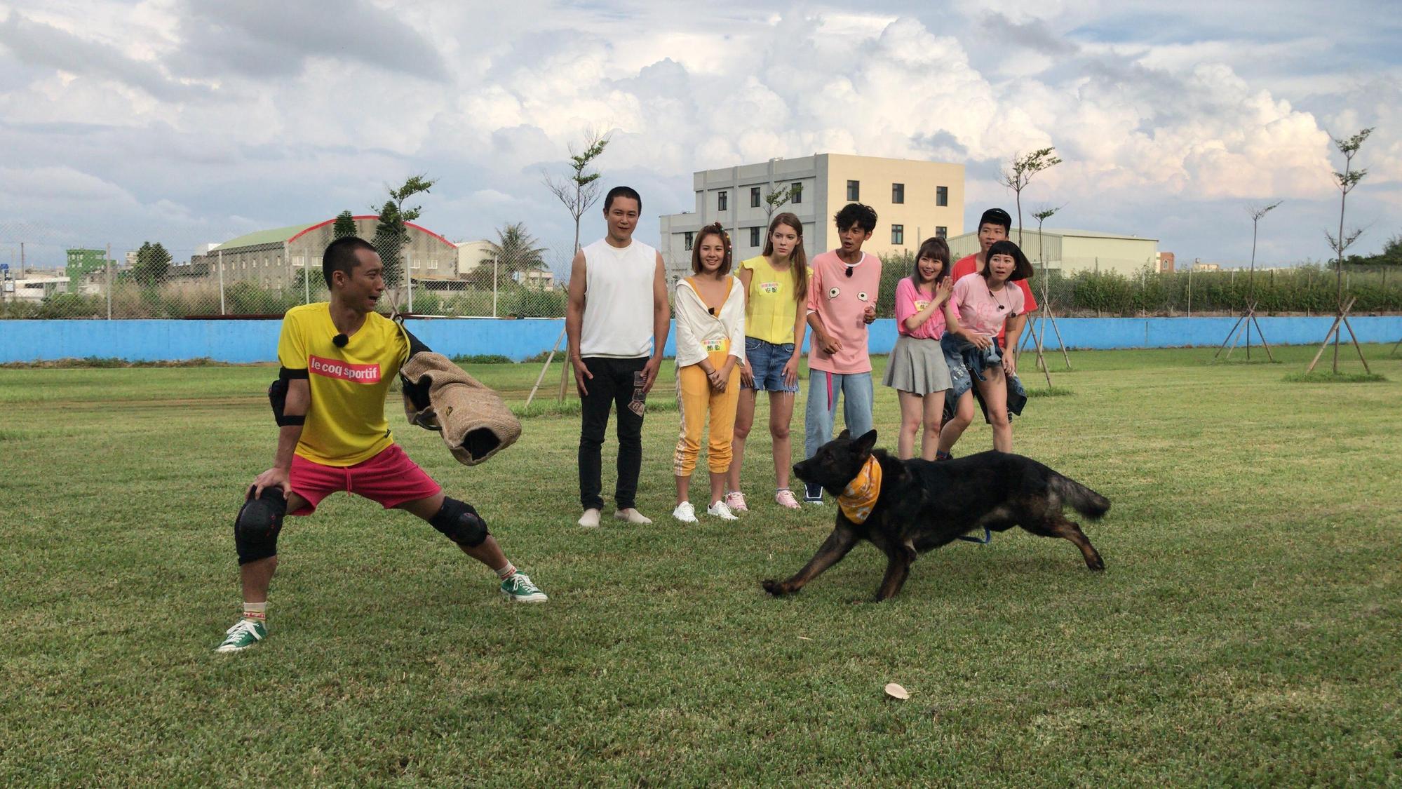 浩子看到狼犬要衝過來咬手上的手套時，腿都軟了。（民視提供）