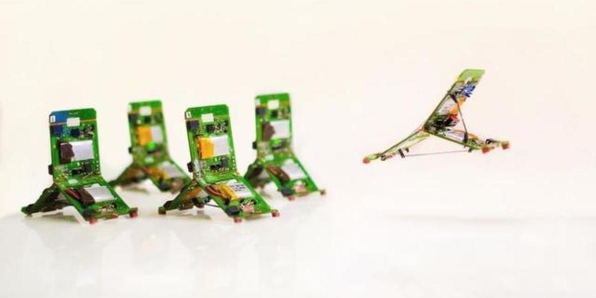 以螞蟻為靈感　「能說會跳」的微型機器人問世