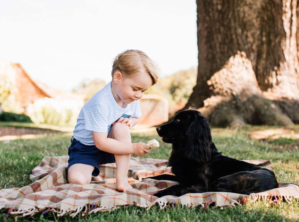 英國喬治小王子今天歡慶6歲生日。（翻攝自George, Prince of Cambridge臉書）
