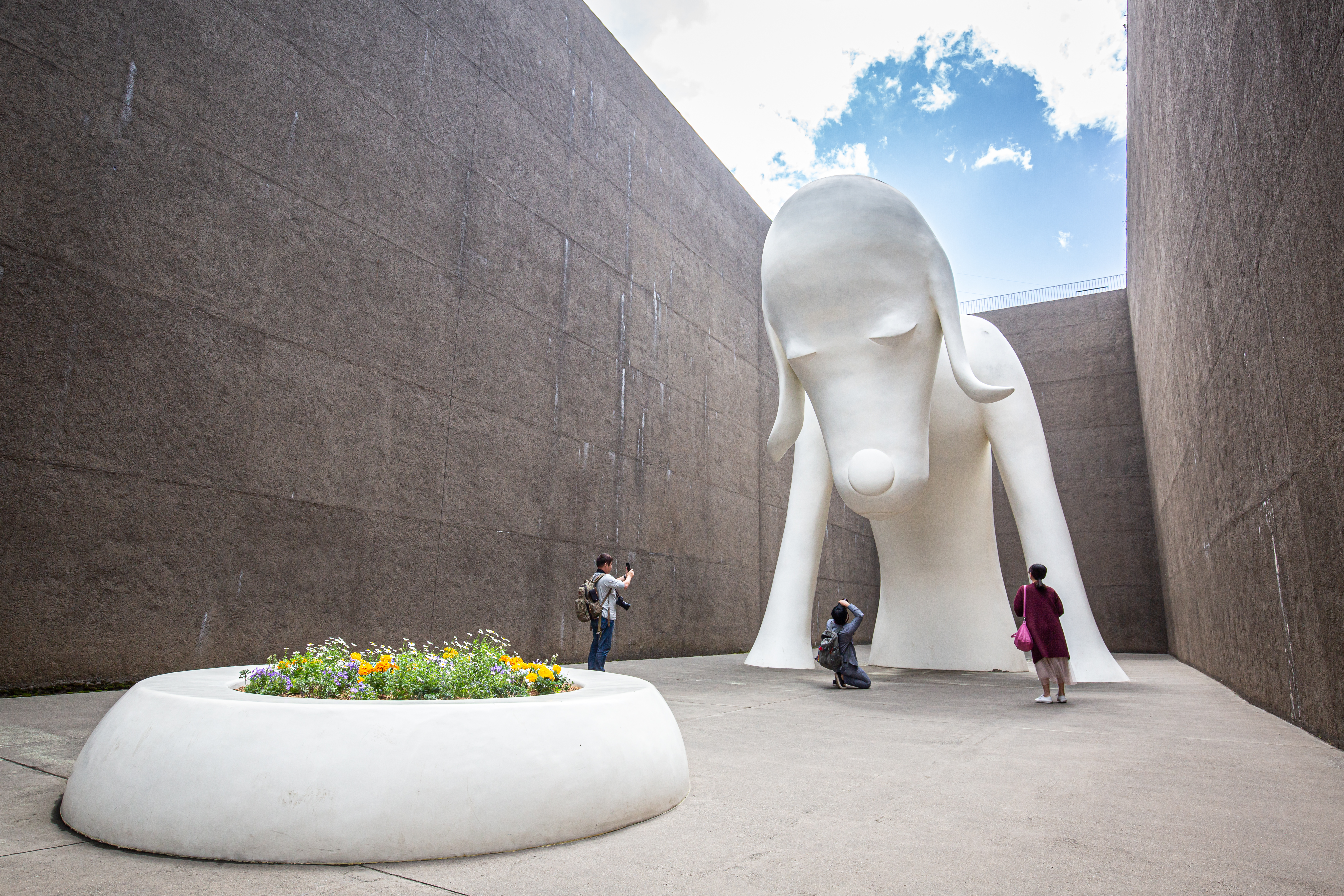 由下往上欣賞「青森犬」，更能感受淡淡的憂傷。