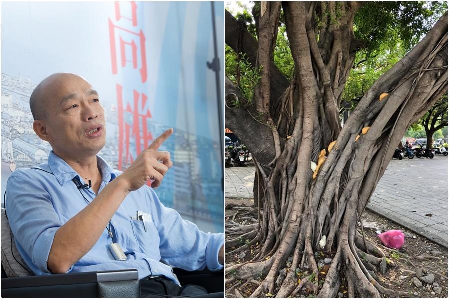 臉書粉絲頁「選BAR」貼出一張樹被打上工程防水用的發泡填縫劑的照片，指出這種工程材料一打入縫隙中，可能對樹造成危害。（翻攝點.高雄臉書社團）