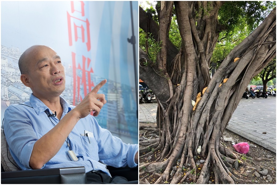 臉書粉絲頁「選BAR」貼出一張樹被打上工程防水用的發泡填縫劑的照片，指出這種工程材料一打入縫隙中，可能對樹造成危害。（翻攝點.高雄臉書社團）