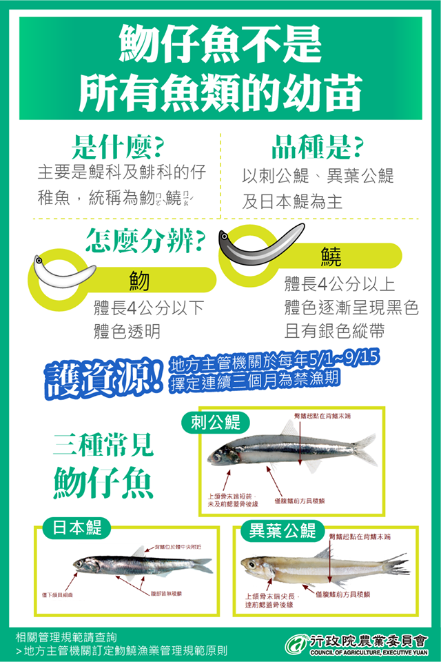 農委會一張圖解析魩仔魚非各種魚類幼苗。（翻攝農委會臉書）