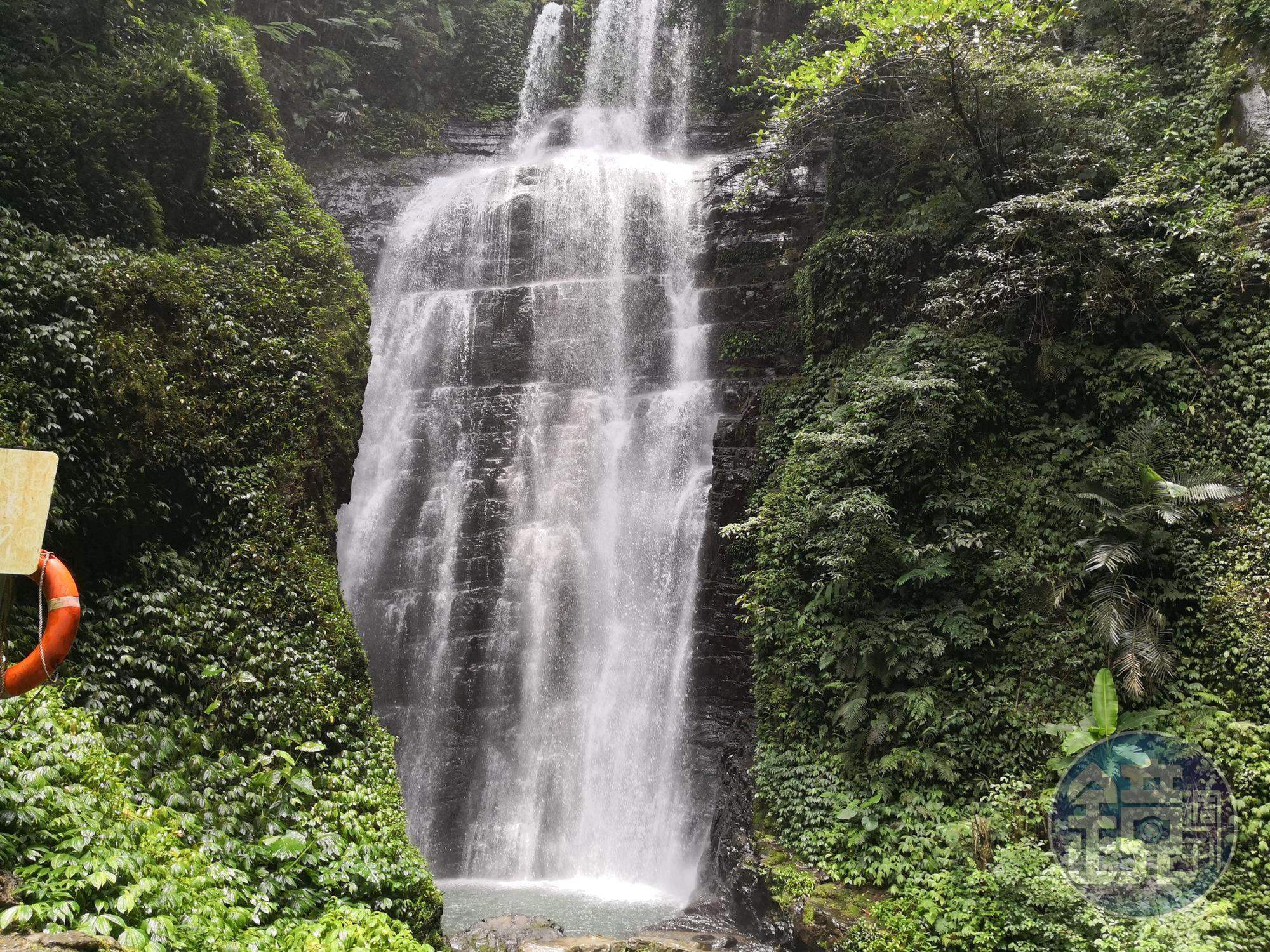 夏季泡在水裡，十分清涼。