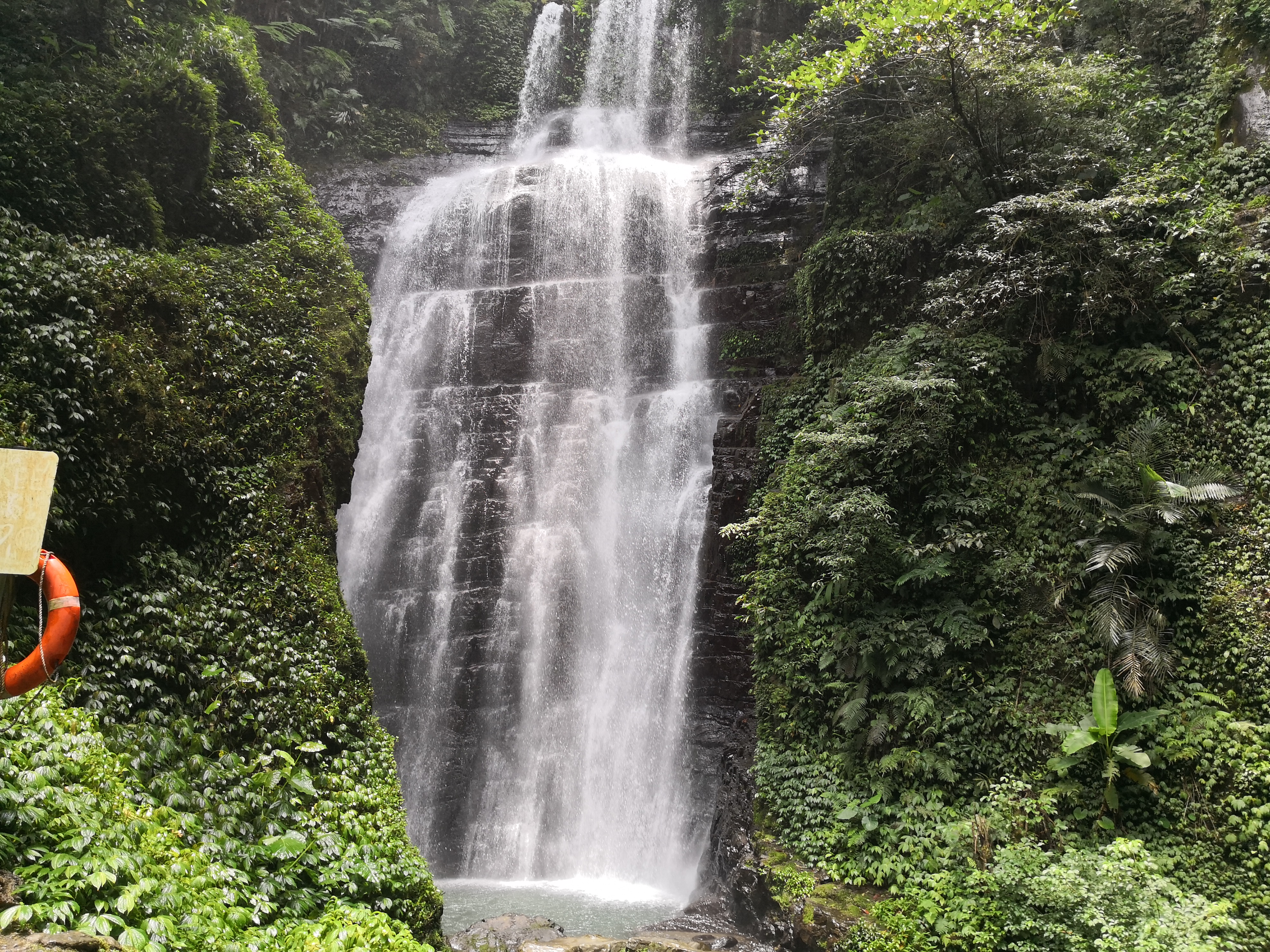 夏季泡在水裡，十分清涼。