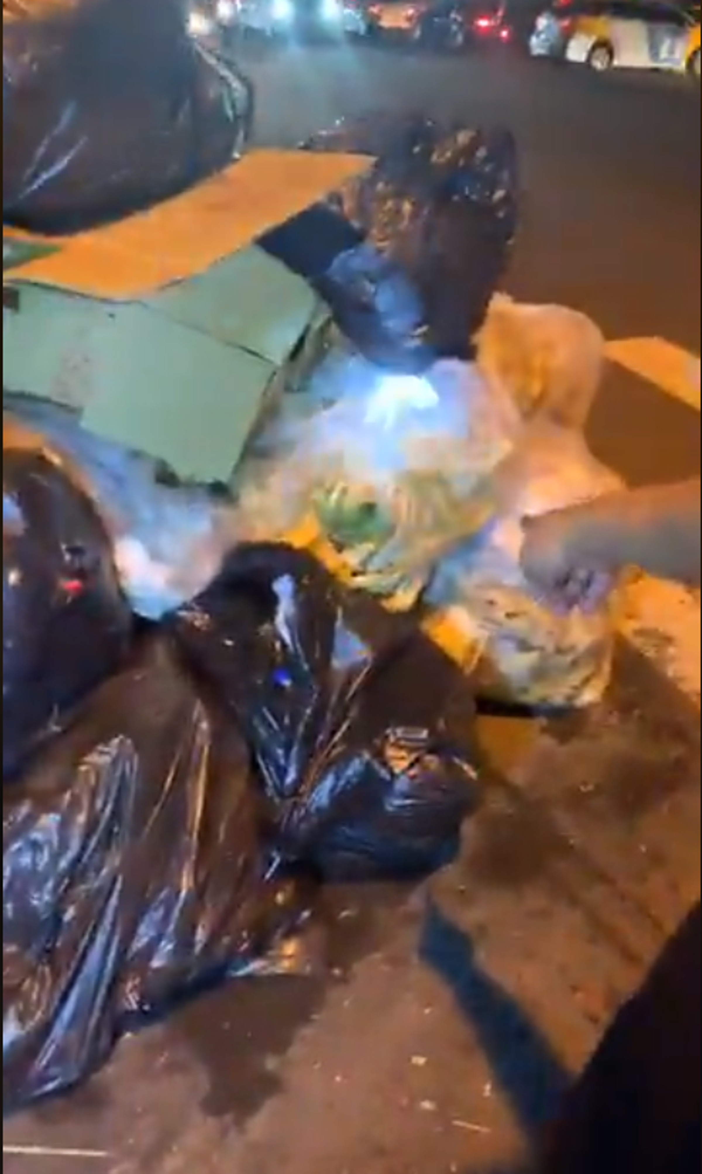 連郁婷在韓國瑜造勢後，勘查現場發現沿路的垃圾山。（翻攝連郁婷臉書）