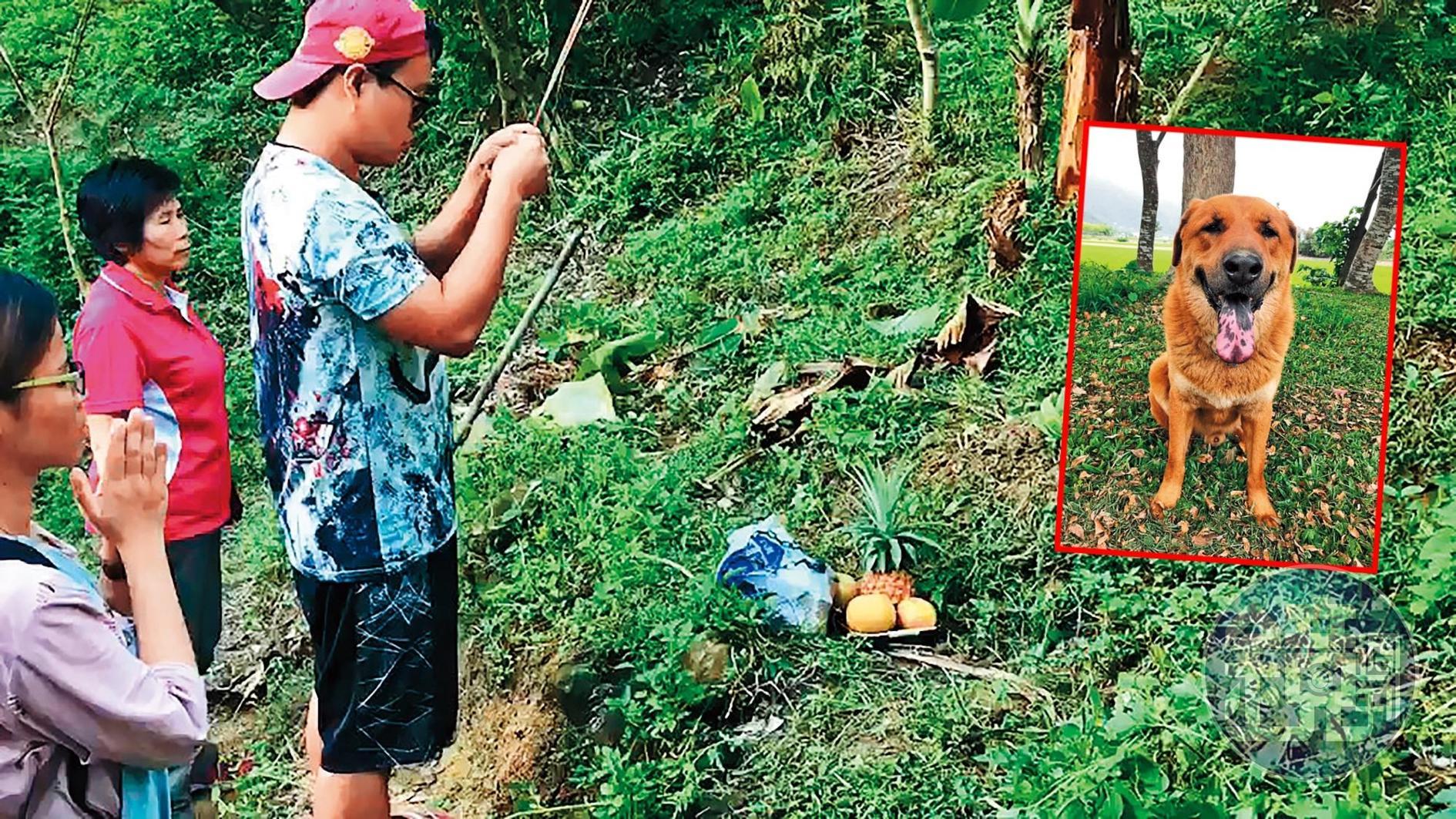 命運坎坷的大頭黃最後如願在霧峰山區長眠。（當事人提供）