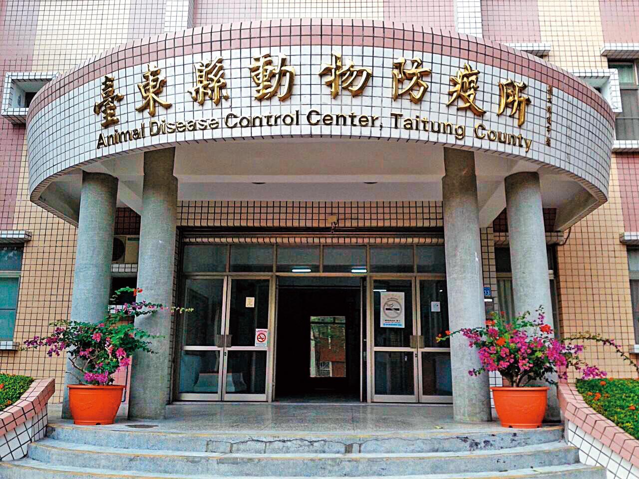 因台東動物防疫所人員疏失，大頭黃被丟在柏油路曝晒1天，最後不幸死亡。（翻攝台東縣動物防疫所臉書）