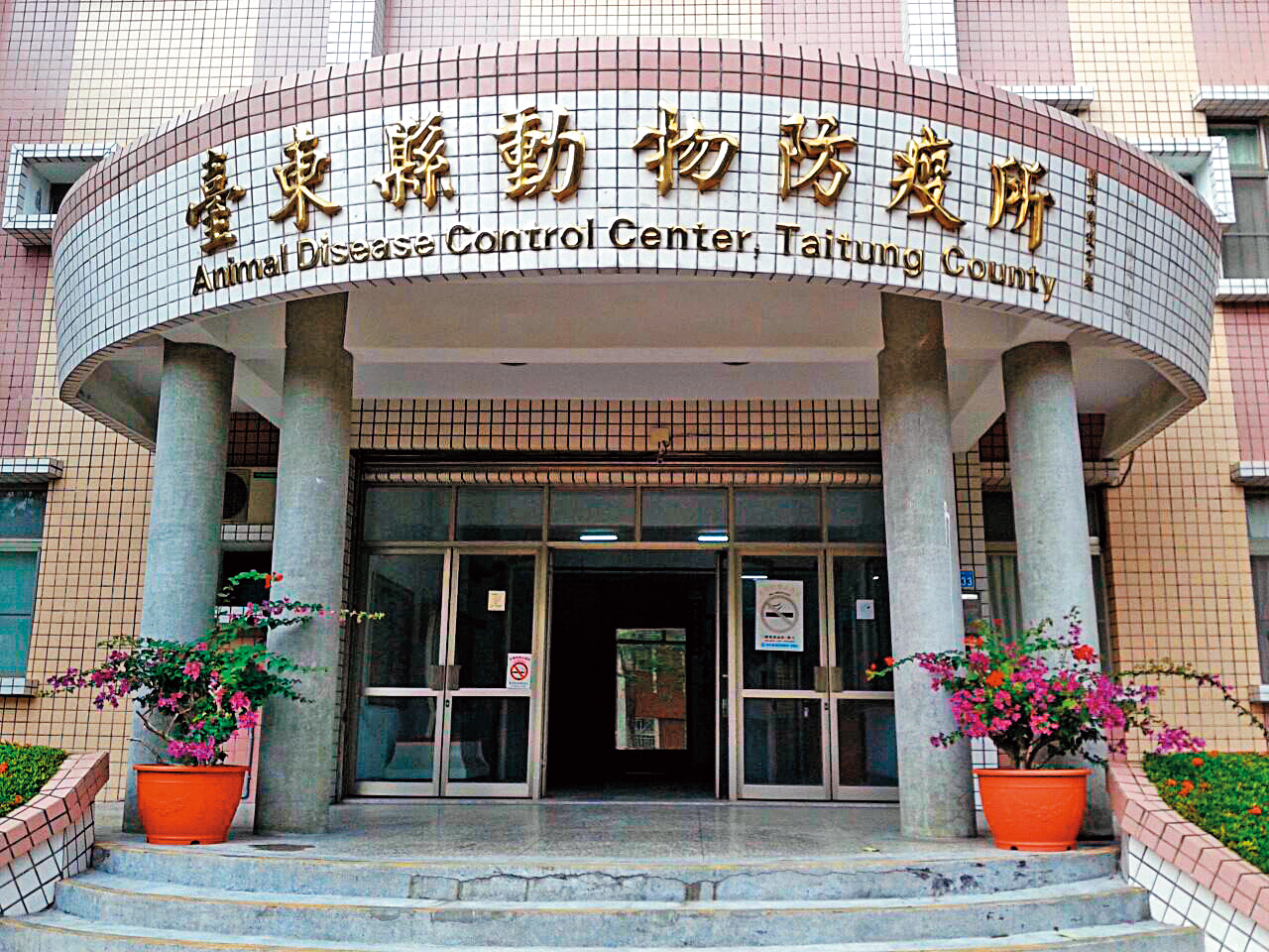 因台東動物防疫所人員疏失，大頭黃被丟在柏油路曝晒1天，最後不幸死亡。（翻攝台東縣動物防疫所臉書）