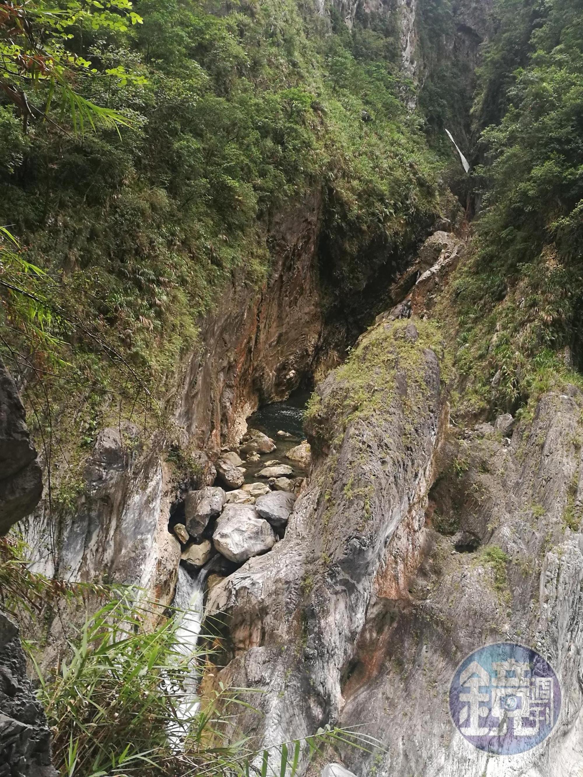 九曲步道的隱藏版景點「魚躍龍門」，你找到大鯉魚了嗎? 