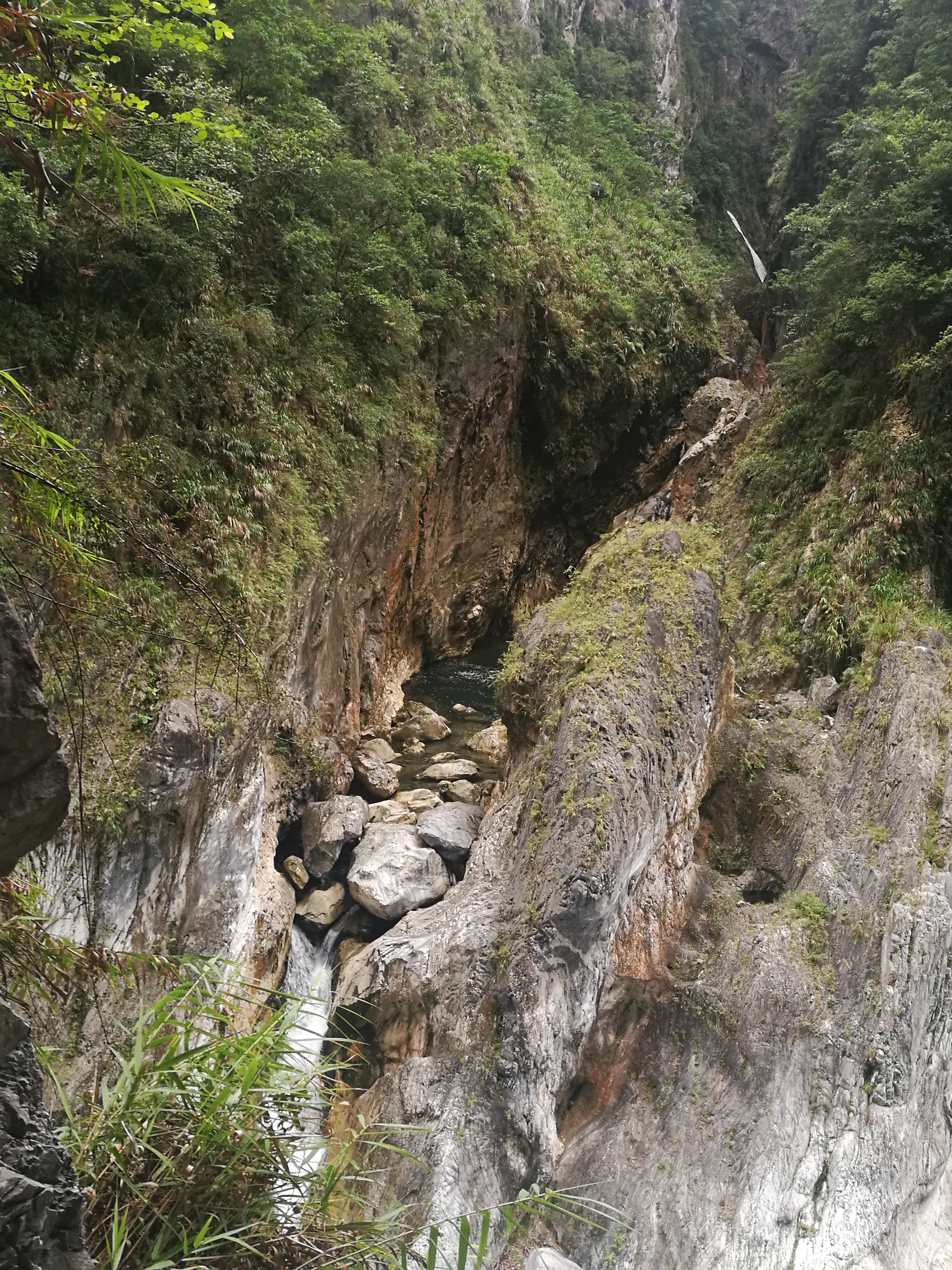 九曲步道的隱藏版景點「魚躍龍門」，你找到大鯉魚了嗎? 
