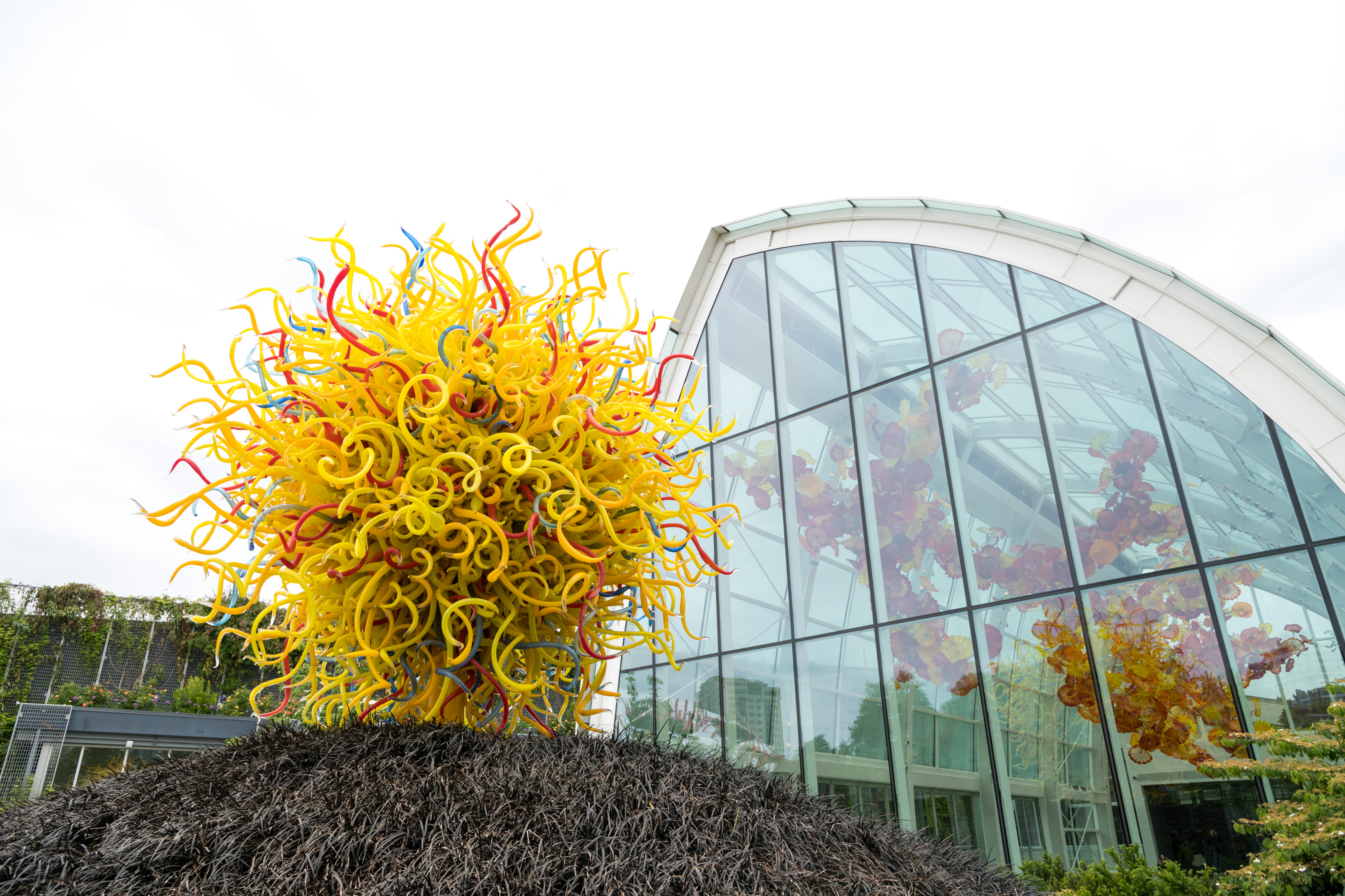 奇胡立玻璃藝術園（Chihuly Garden and Glass）一直佔據Tripadvisor推薦的西雅圖景點第1名。